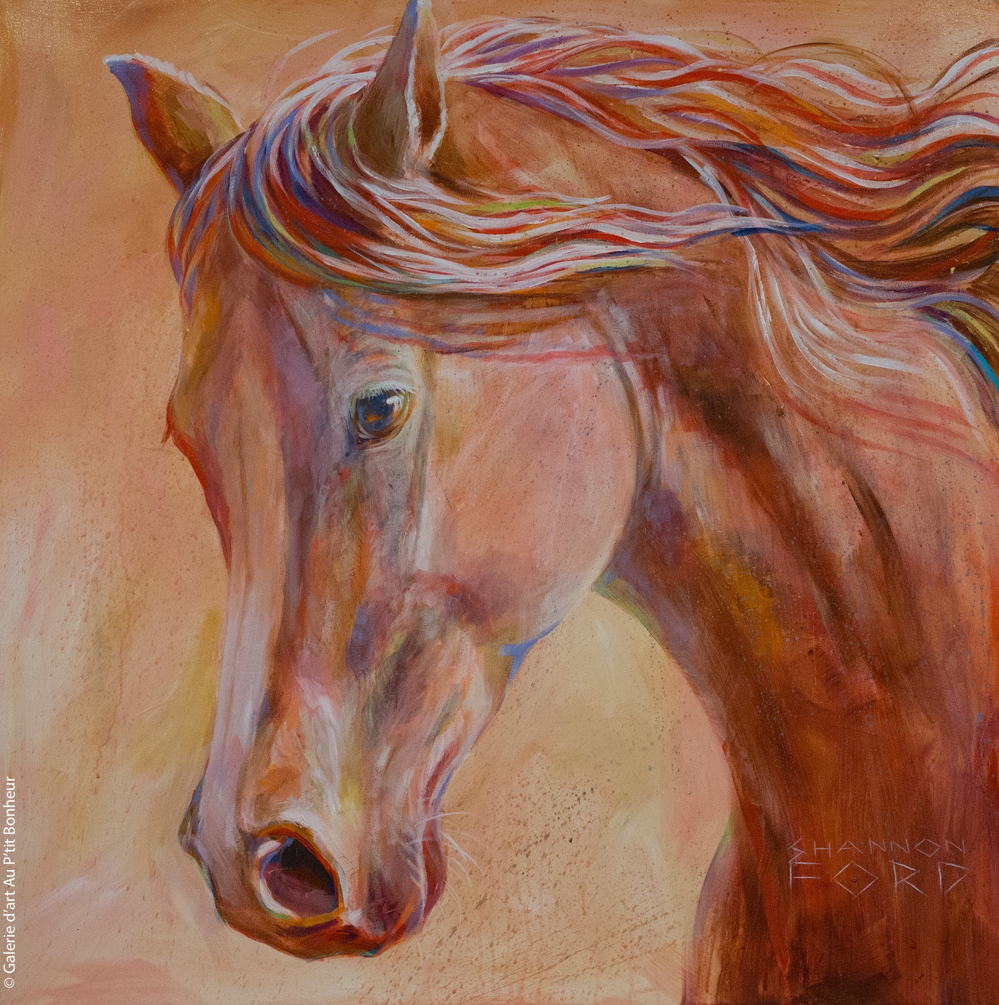 Shannon Ford, artiste peintre | Oeuvres disponibles  | Galerie d'art Au P'tit Bonheur