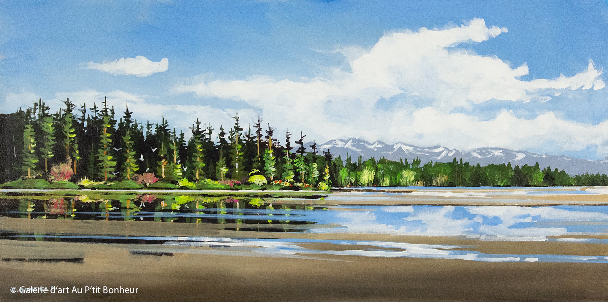 Allan Dunfield | Spring Coast