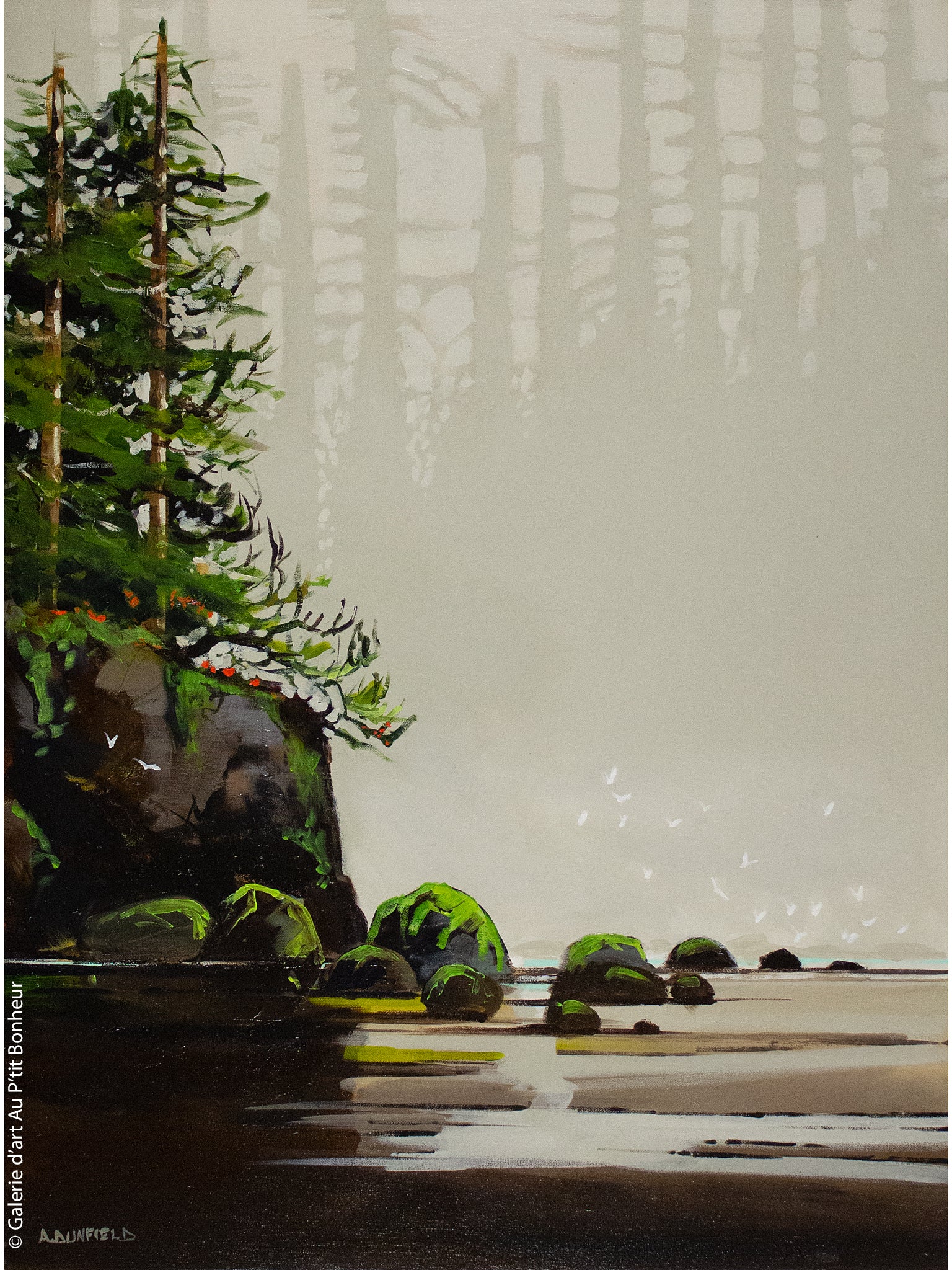 Allan Dunfield | Shoreline Mystery