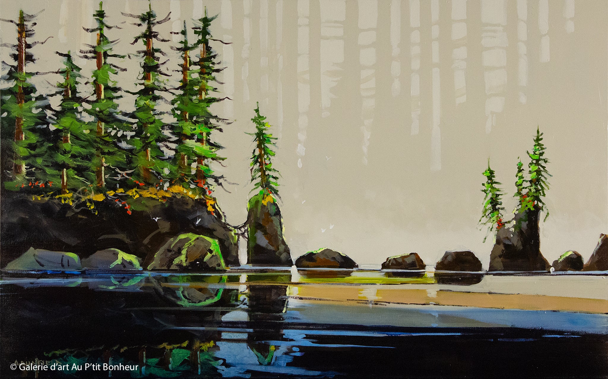 Allan Dunfield | Wandering The West Coast, Vancouver Island