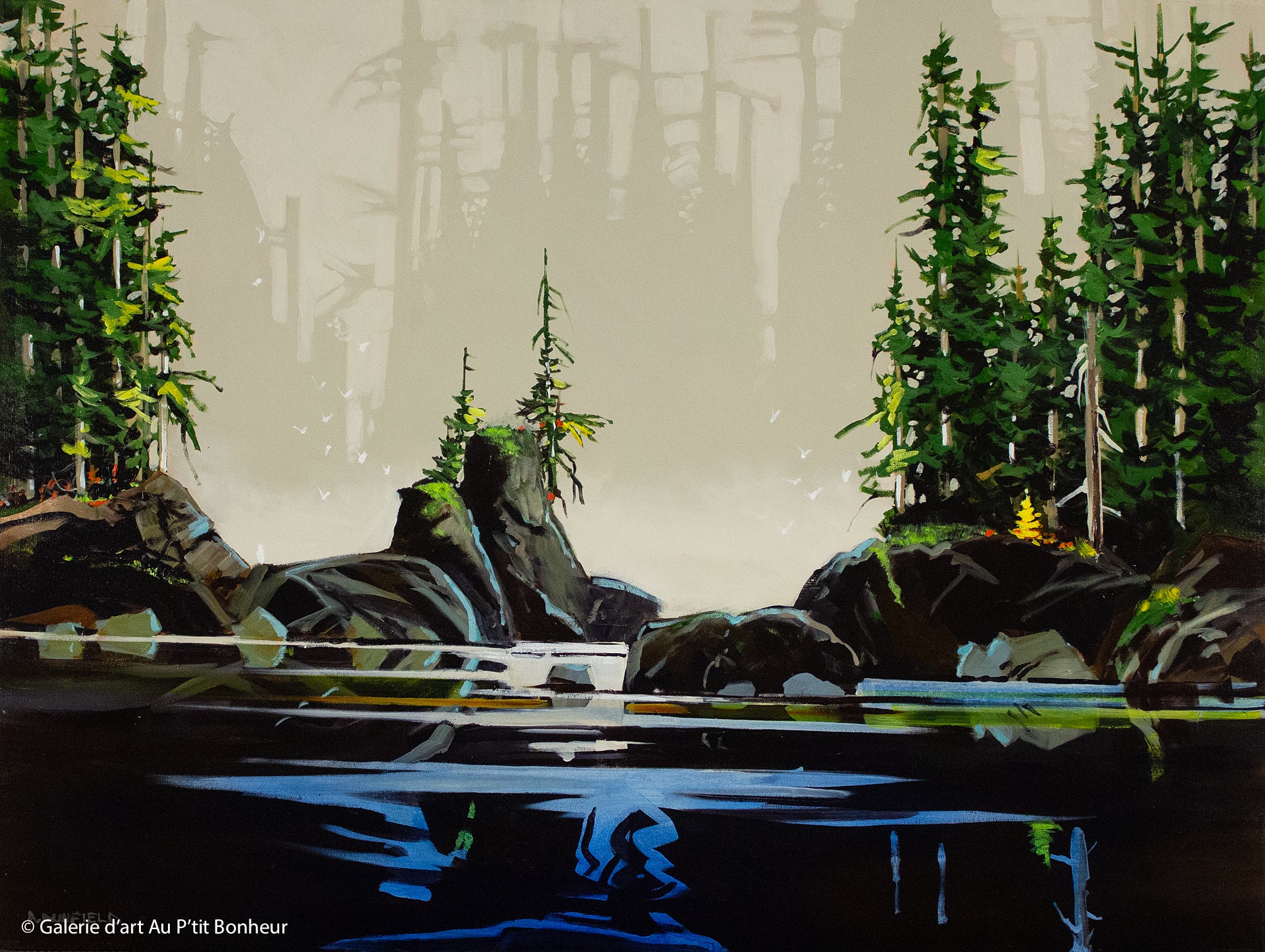 Allan Dunfield | Hidden Places, Vancouver Island