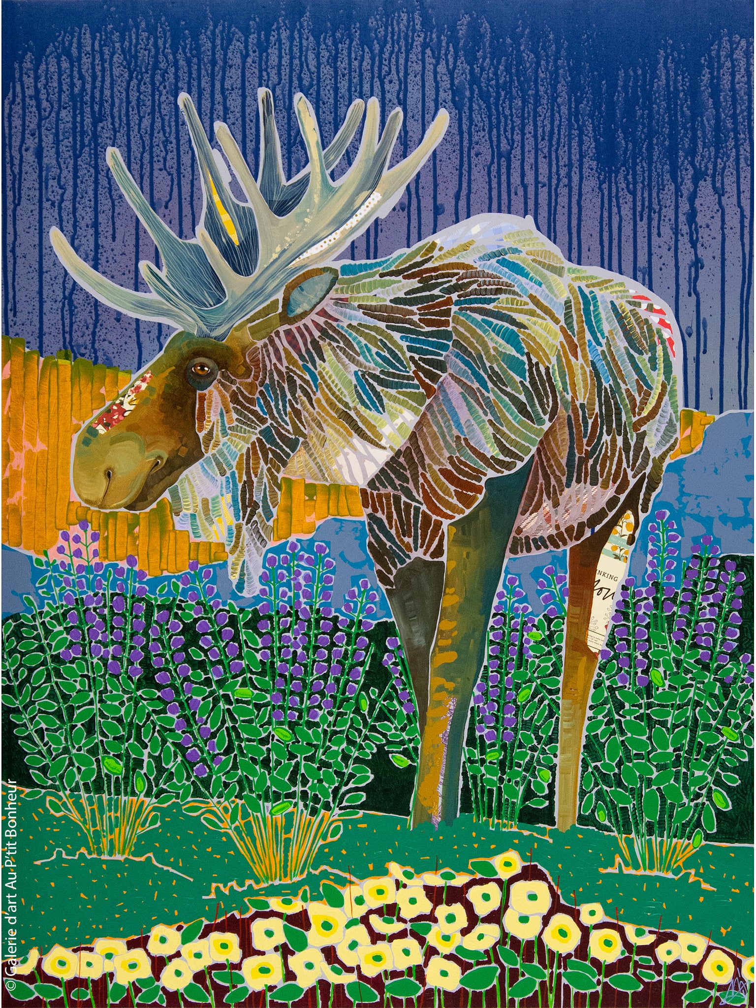 Ann Murphy | Baptisia Crossing