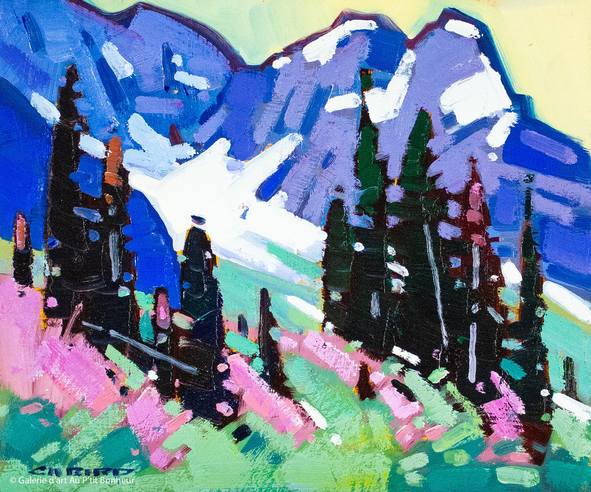 Cameron Bird | Mountain Blooms