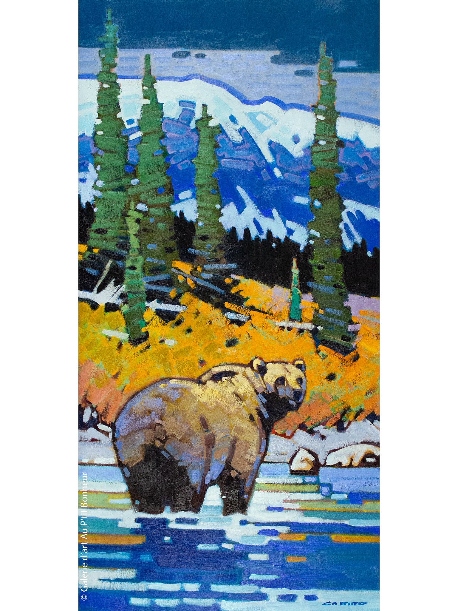 Cameron Bird | Distant Sounds - Grizzly