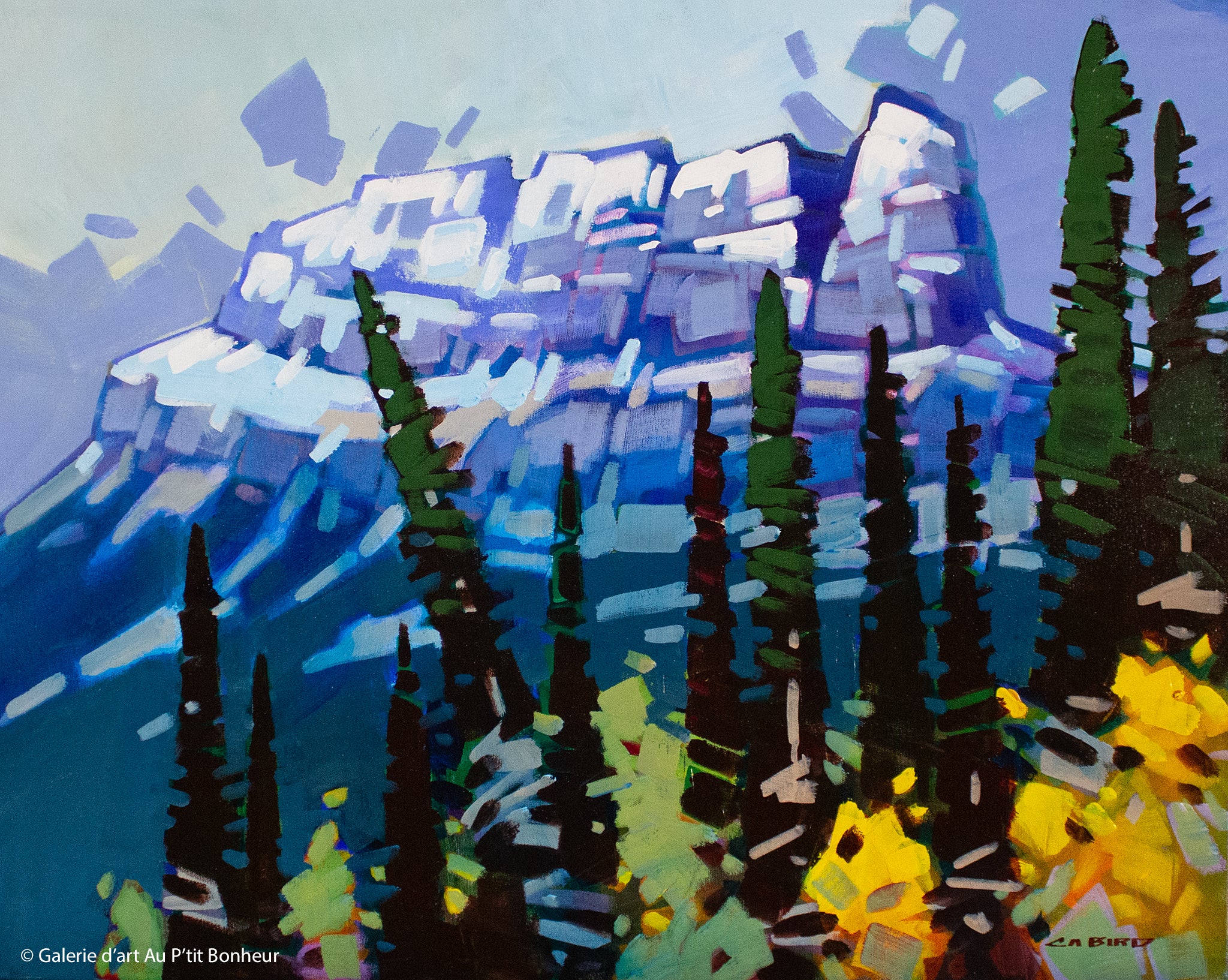 Cameron Bird, artiste peintre | Oeuvres disponibles  | Galerie d'art Au P'tit Bonheur