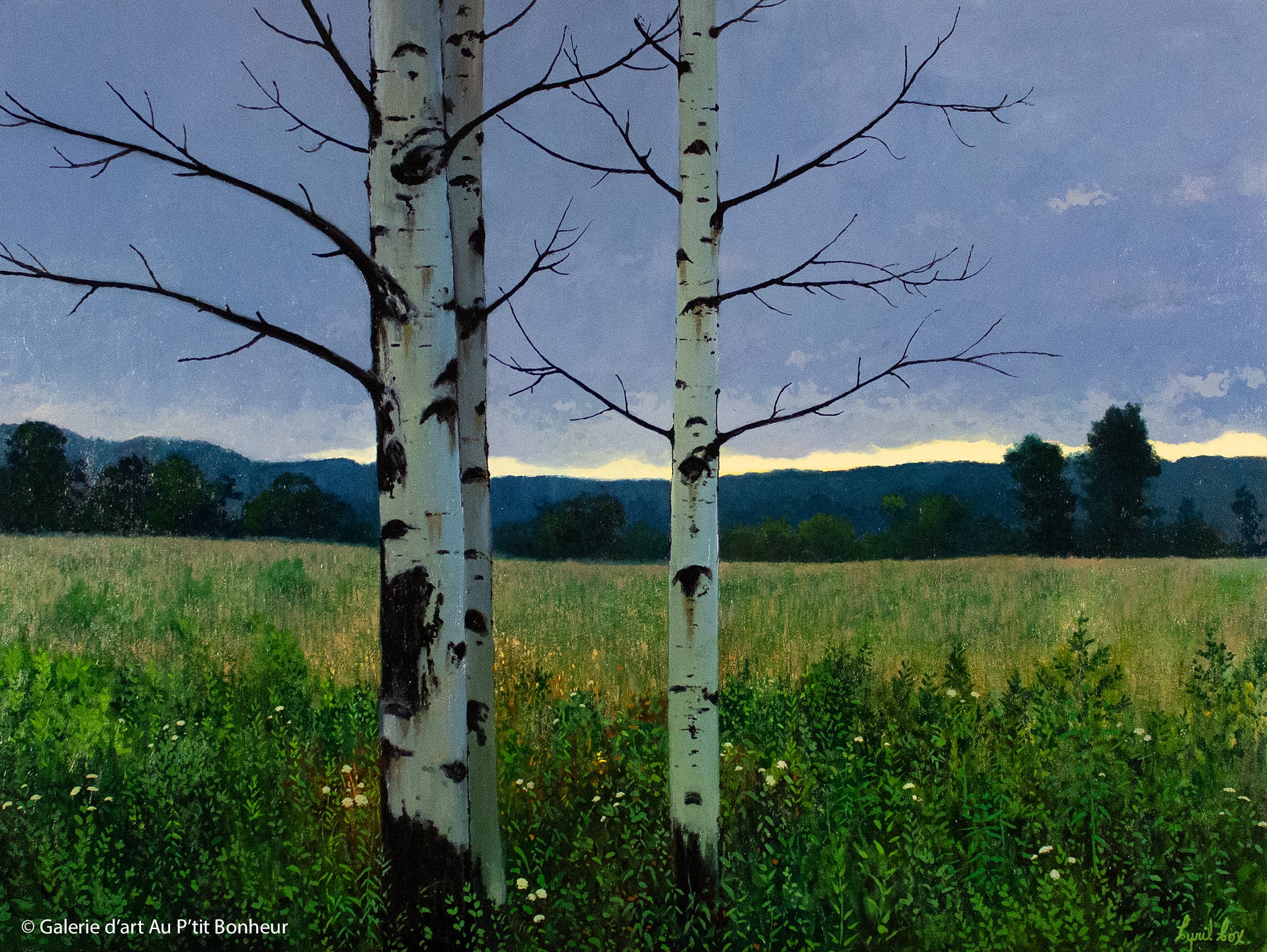 Cyril Cox | Chance of Rain