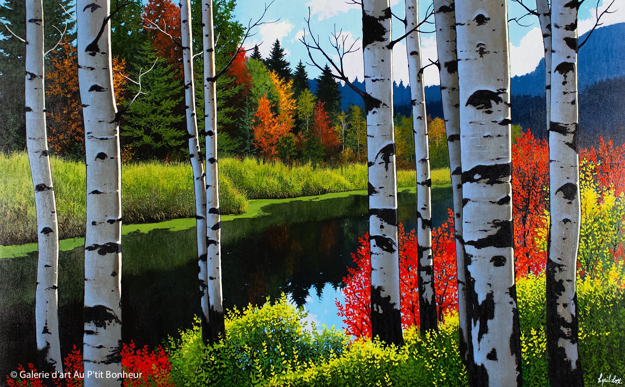 Cyril Cox | Still Water Aspens