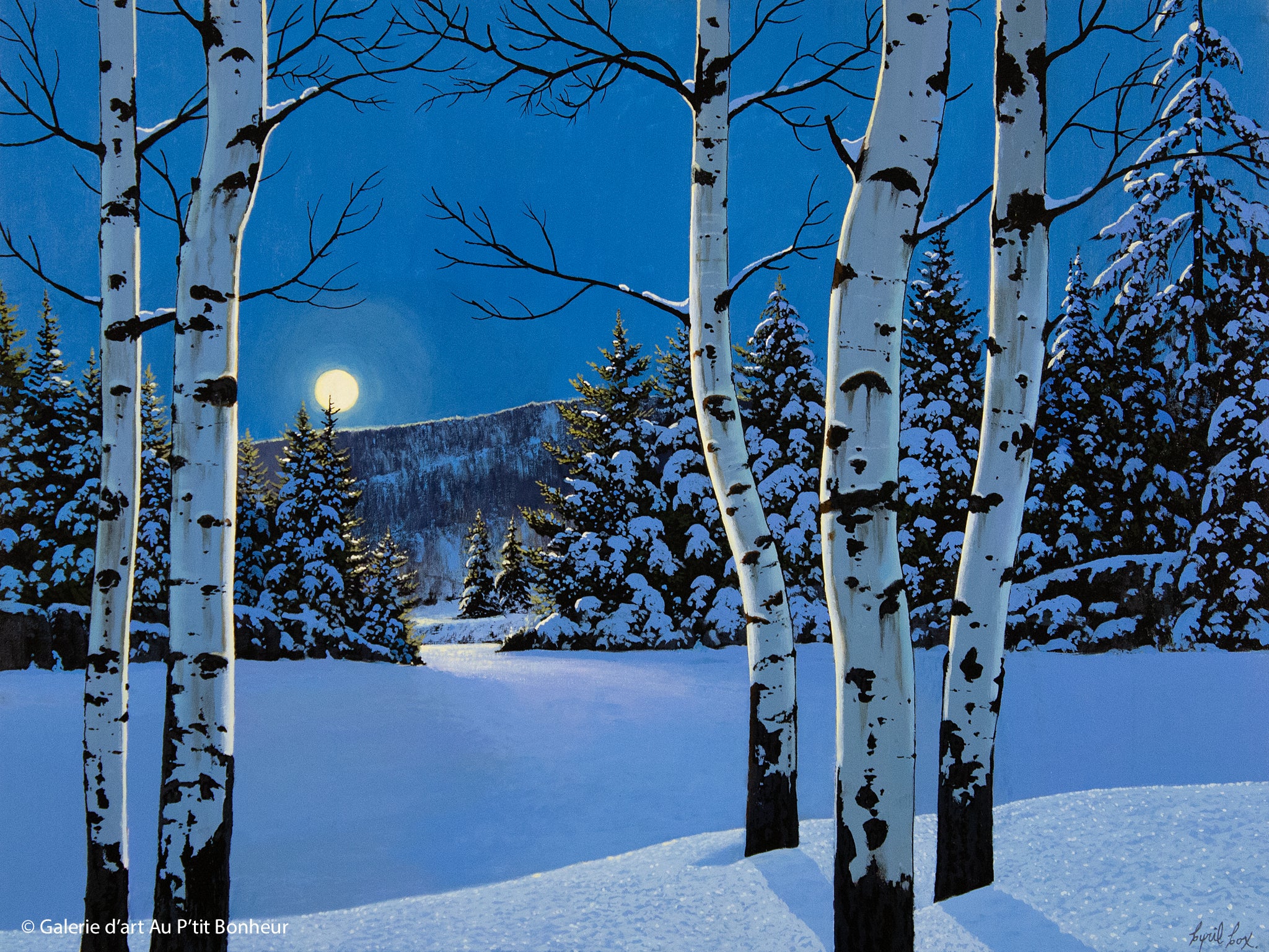 Cyril Cox | Silent Night Aspens