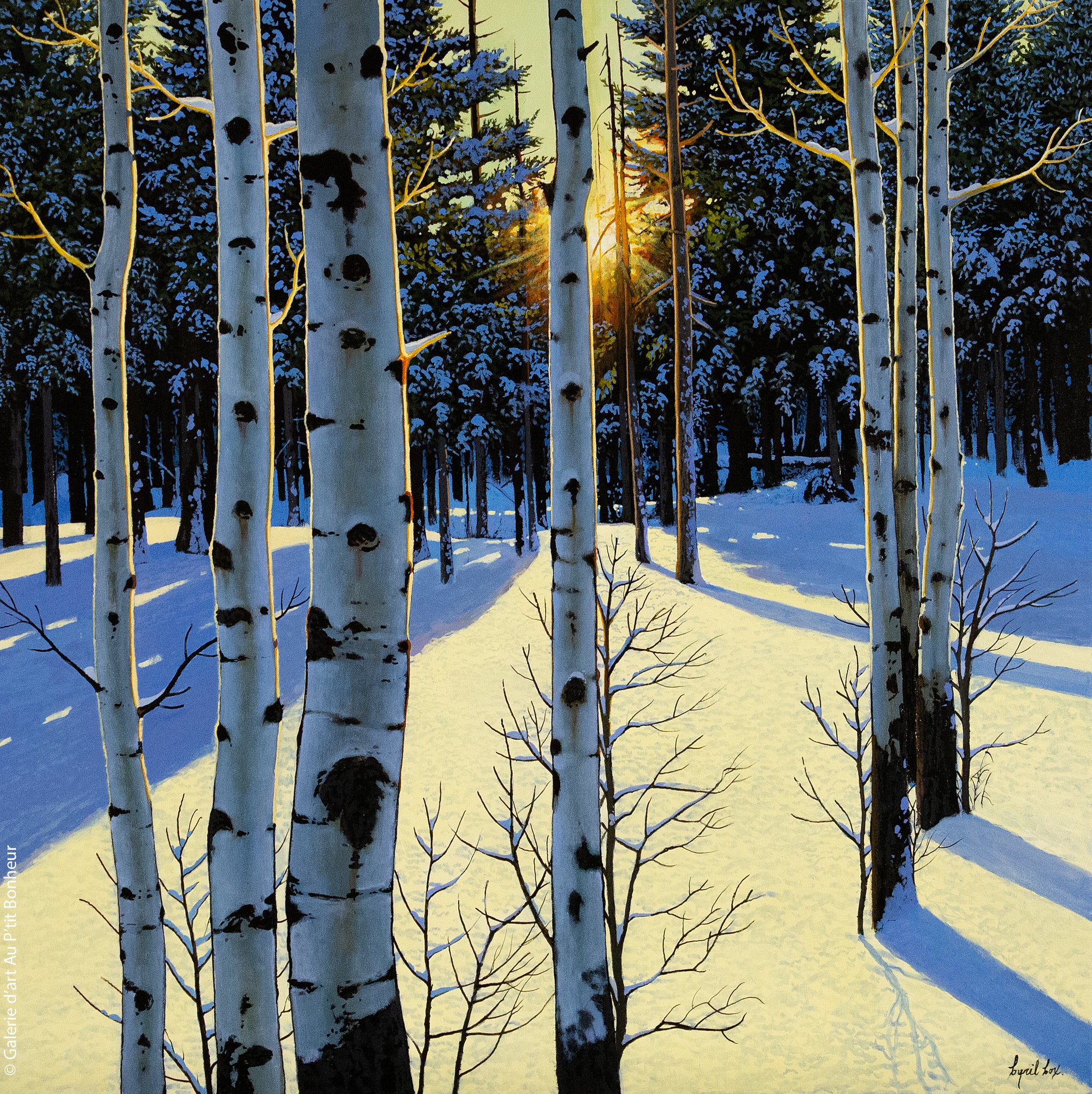 Cyril Cox | Blue Shadows