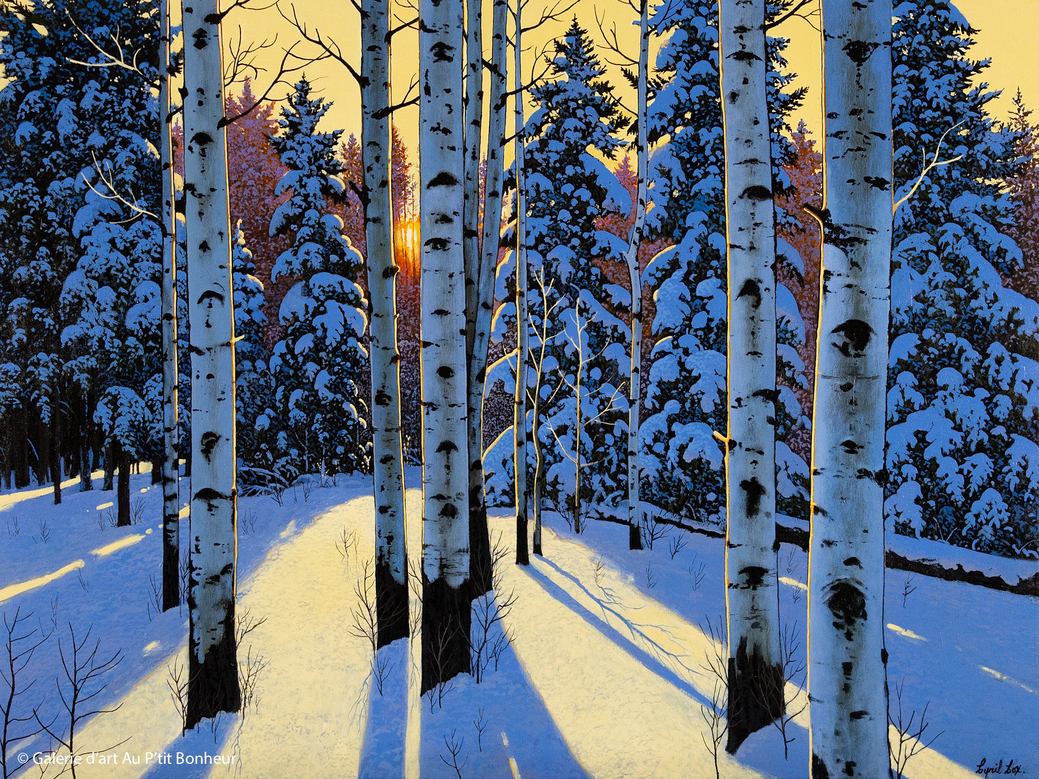 Cyril Cox | Winter Shadows