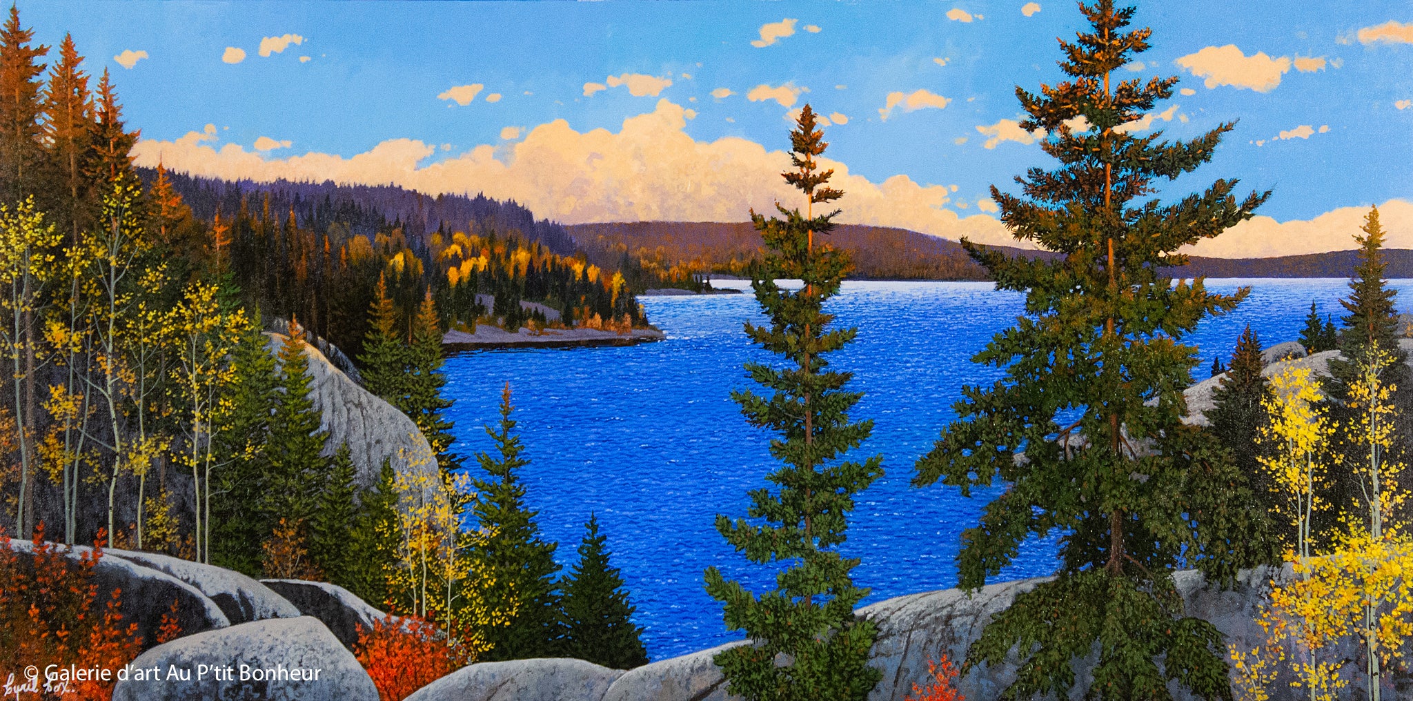 Cyril Cox, artiste peintre | Oeuvres disponibles  | Galerie d'art Au P'tit Bonheur