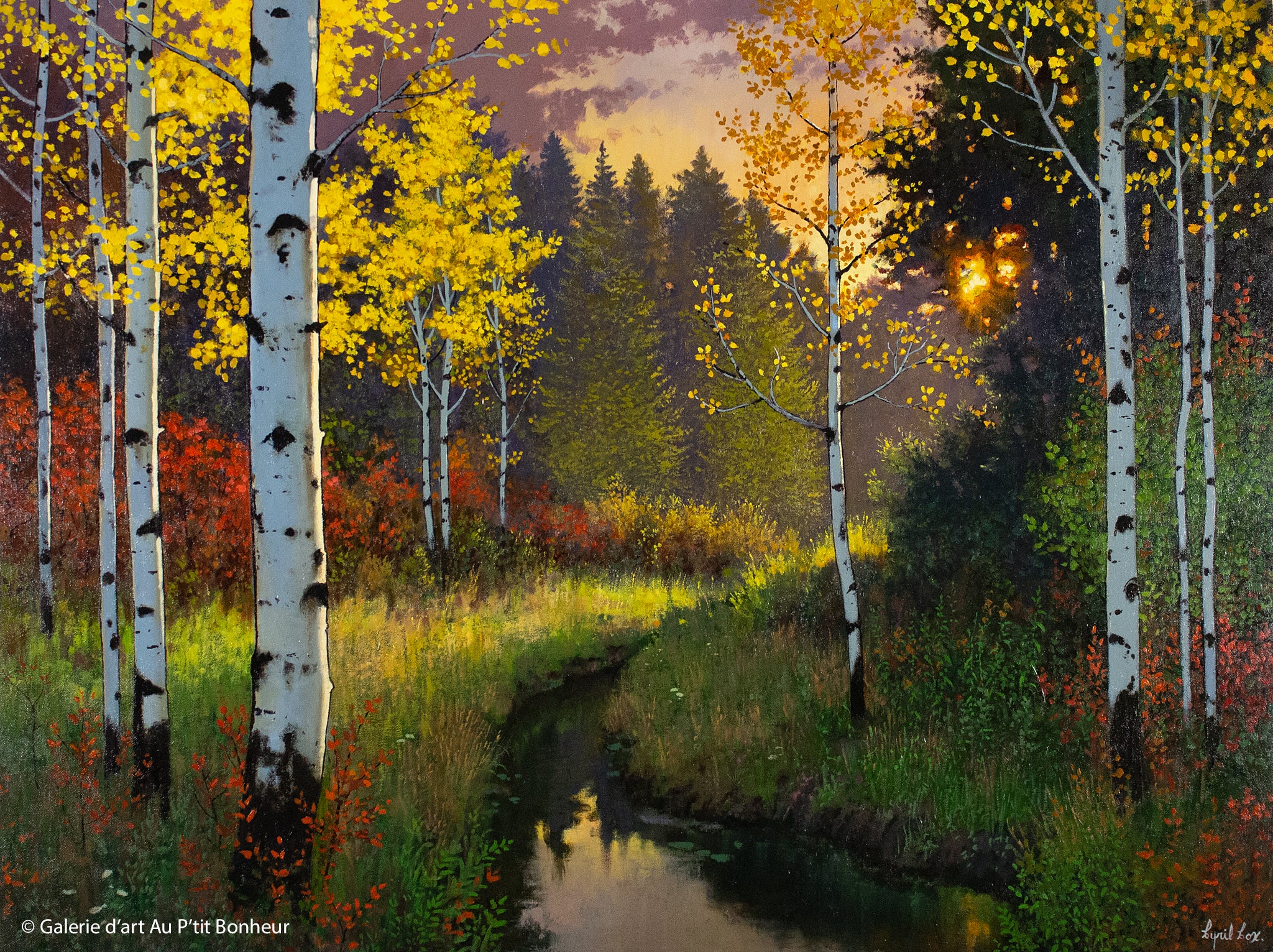 Cyril Cox | A New Day