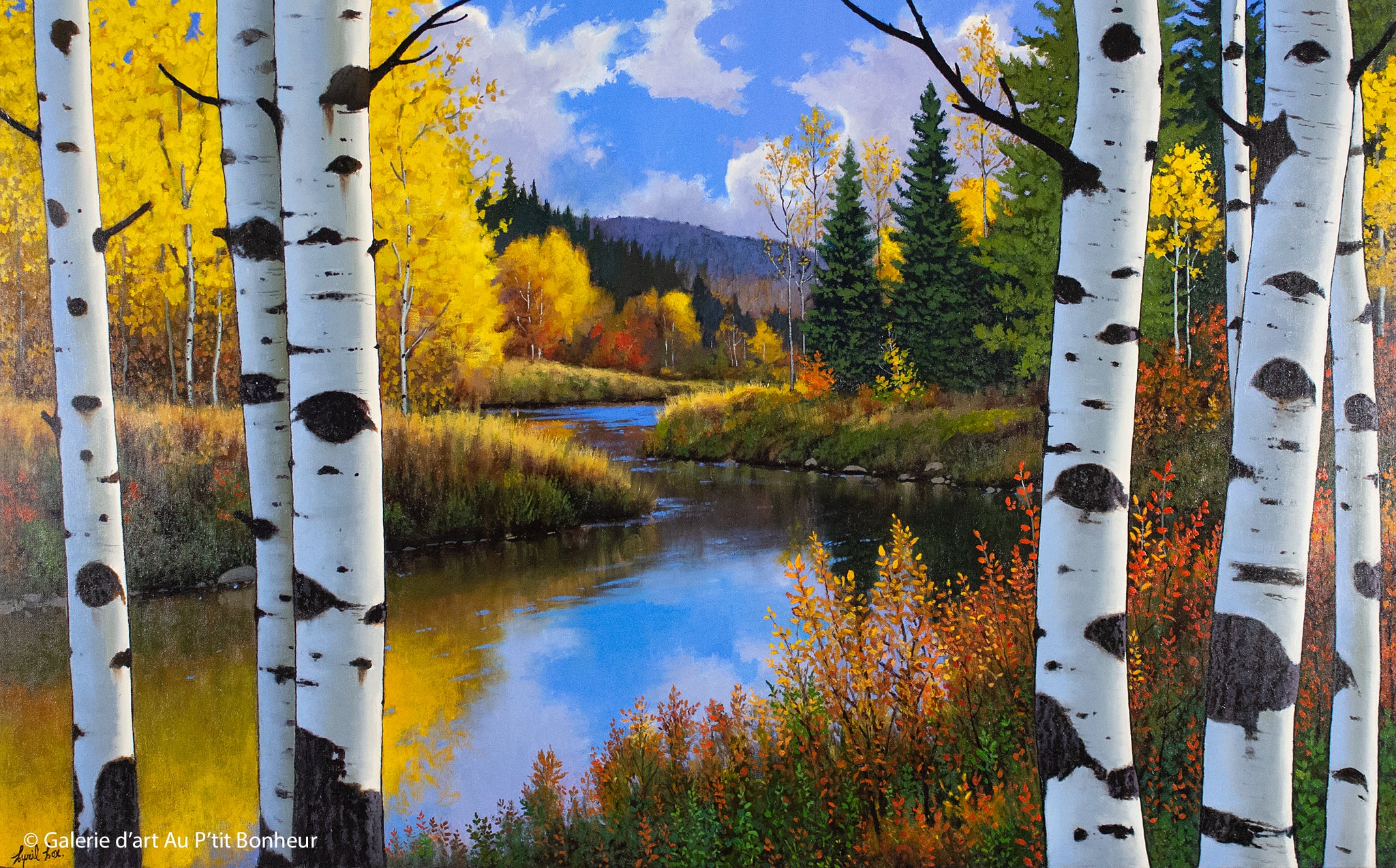 Cyril Cox | Lazy River Aspens