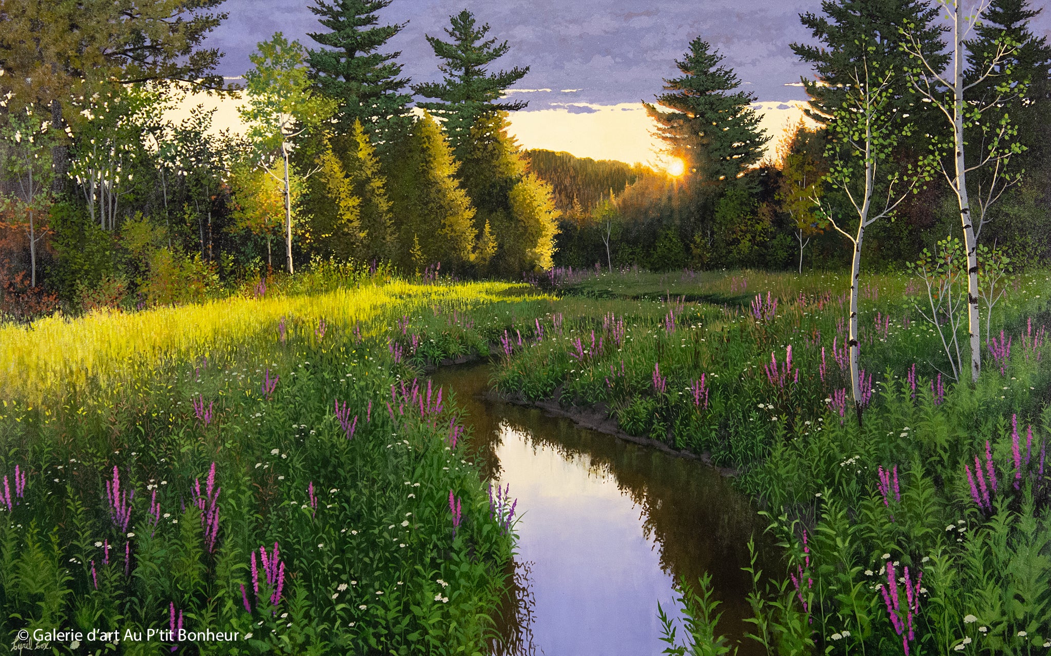 Cyril Cox | Morning Solitude (2022)