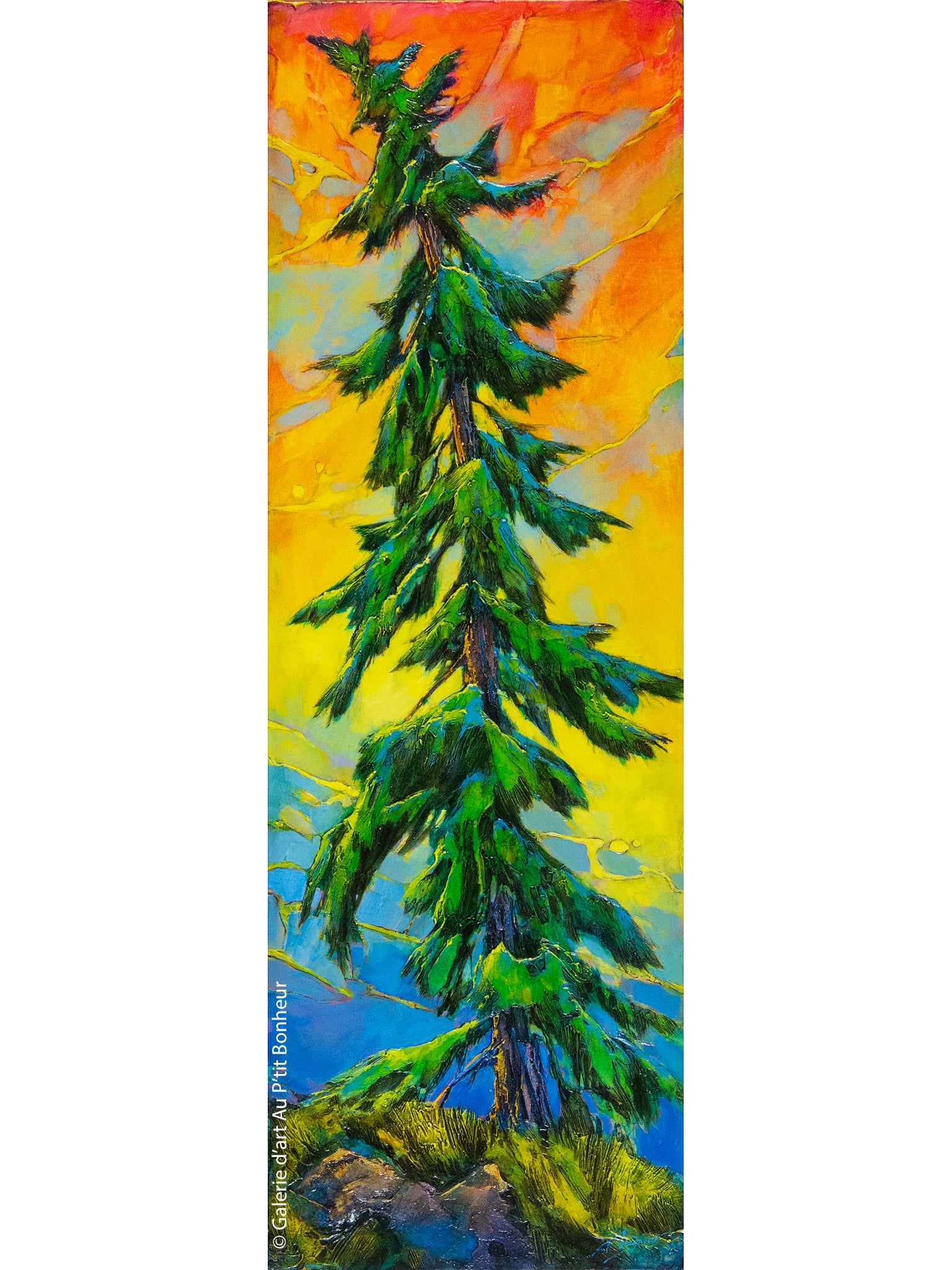 David Langevin | My Summer Side