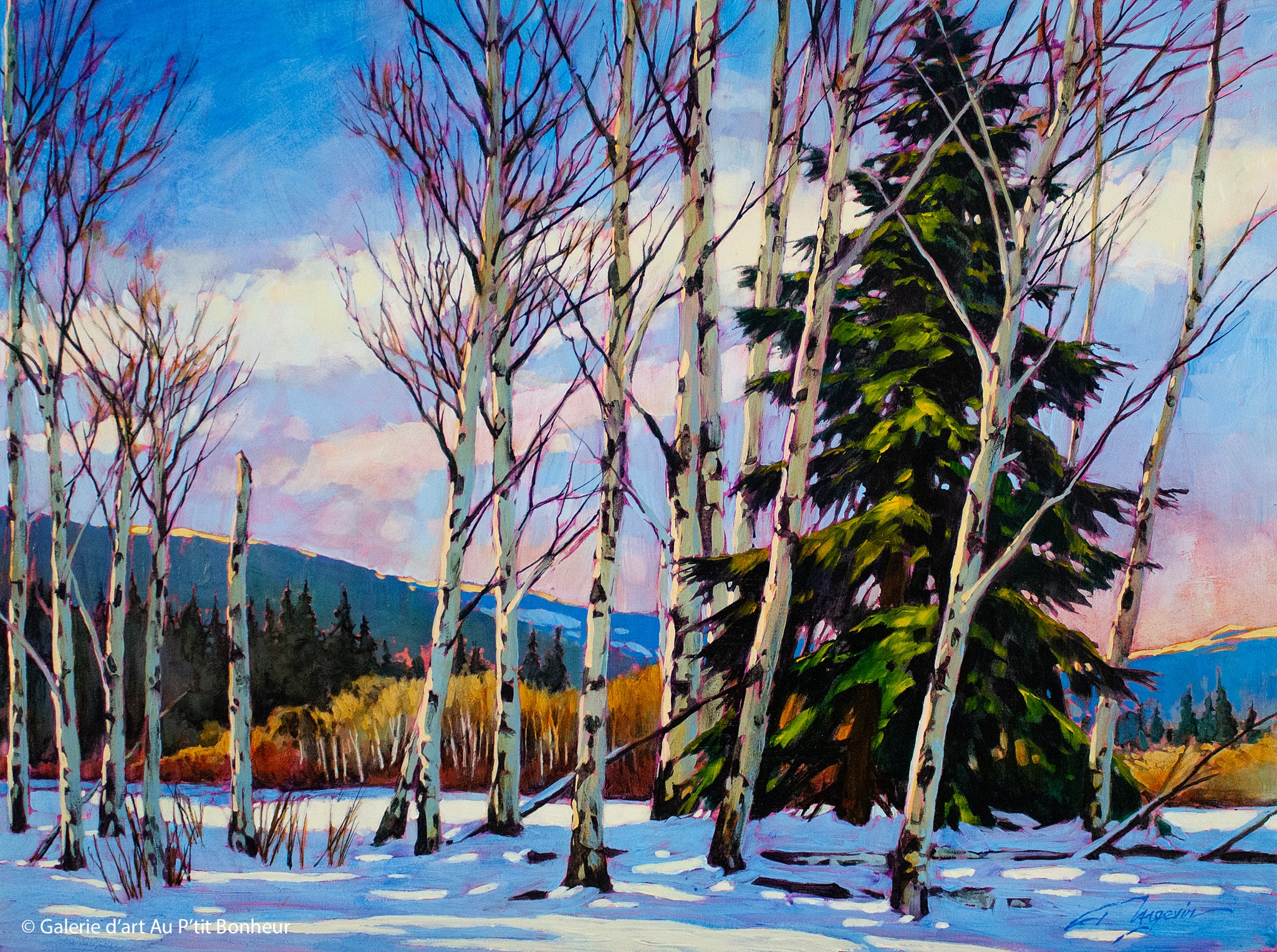 David Langevin | Let’s Stick Together (2013)