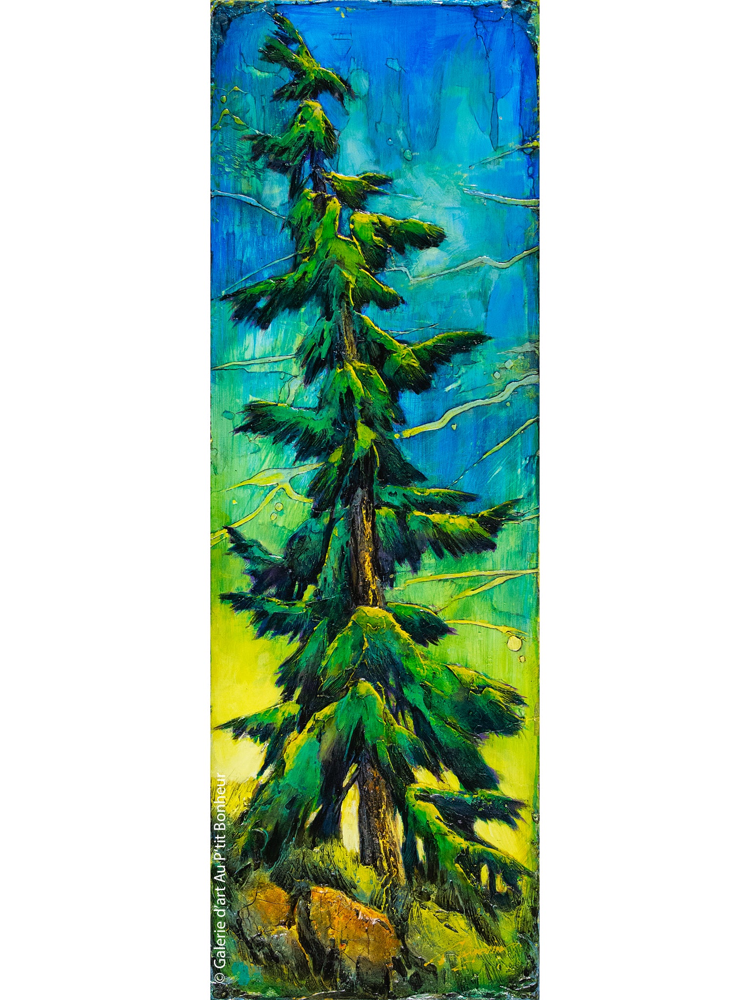 David Langevin | My Summer Side