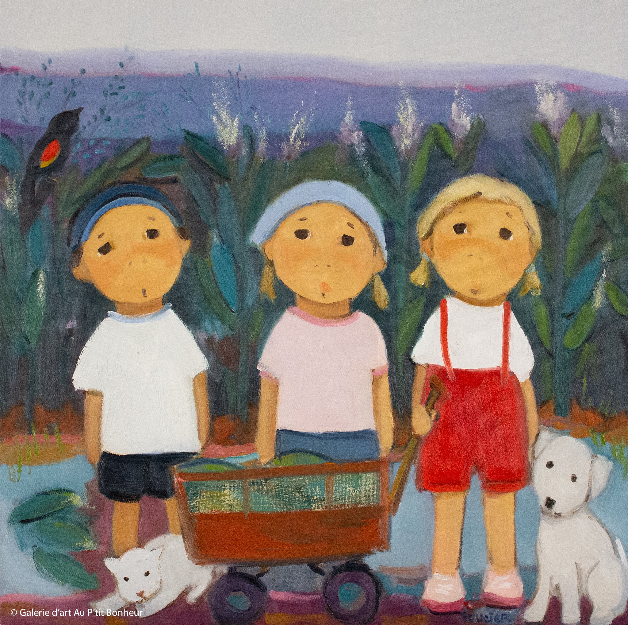 Guylène Saucier | La cueillette du blé d’Inde