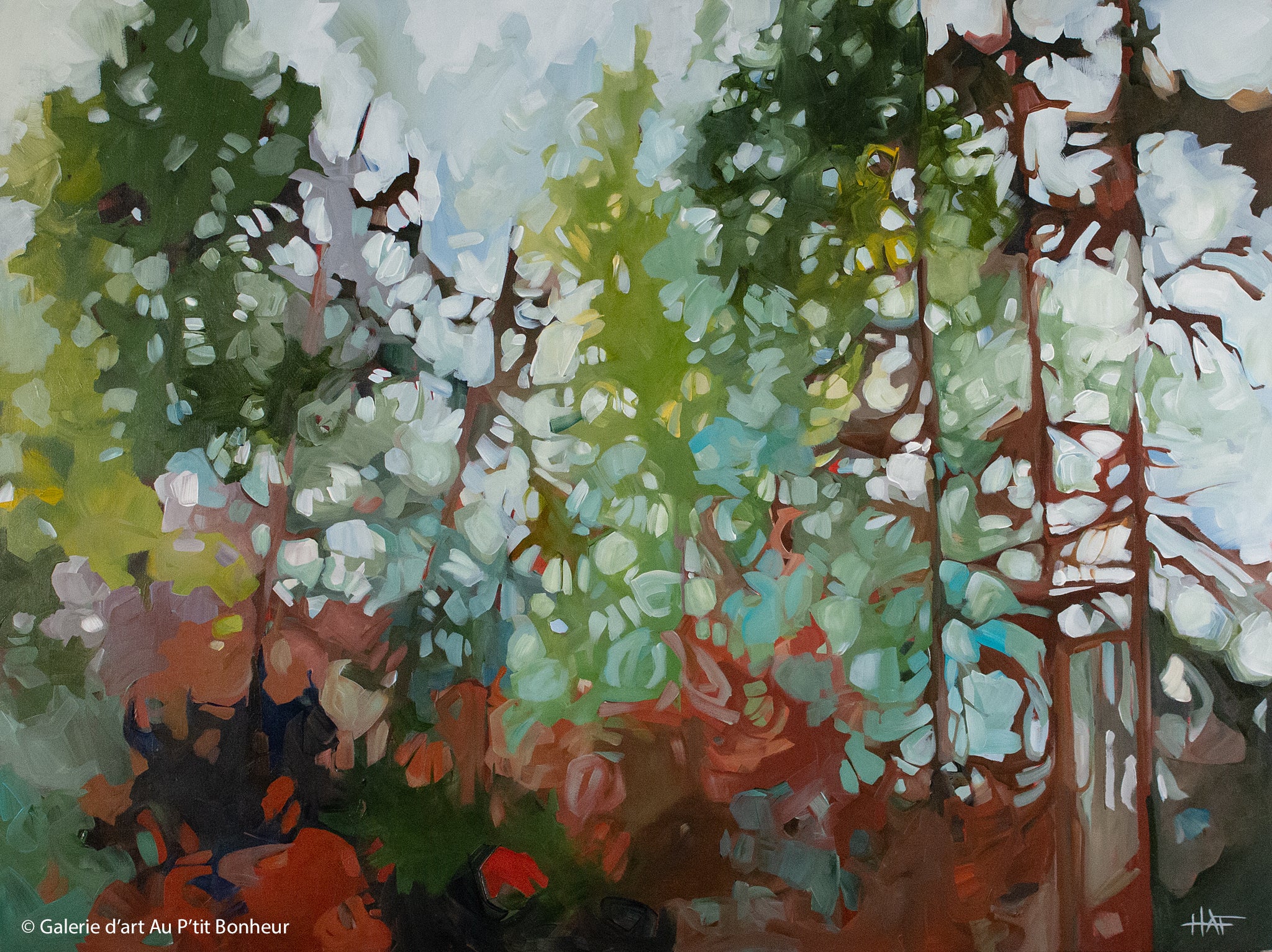 Holly Ann Friesen | Soft Landing