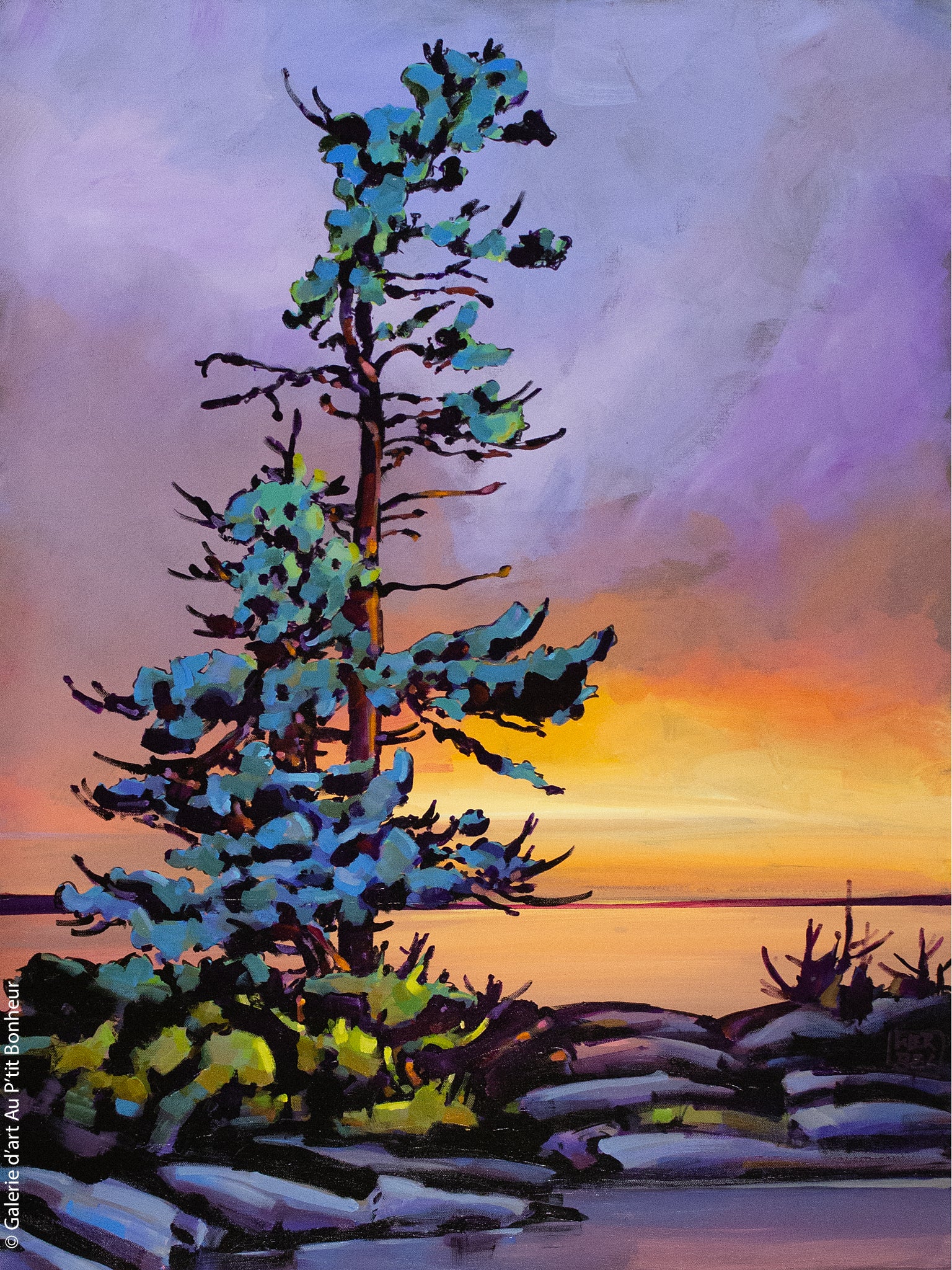 Jerzy Werbel | Soft Dreams