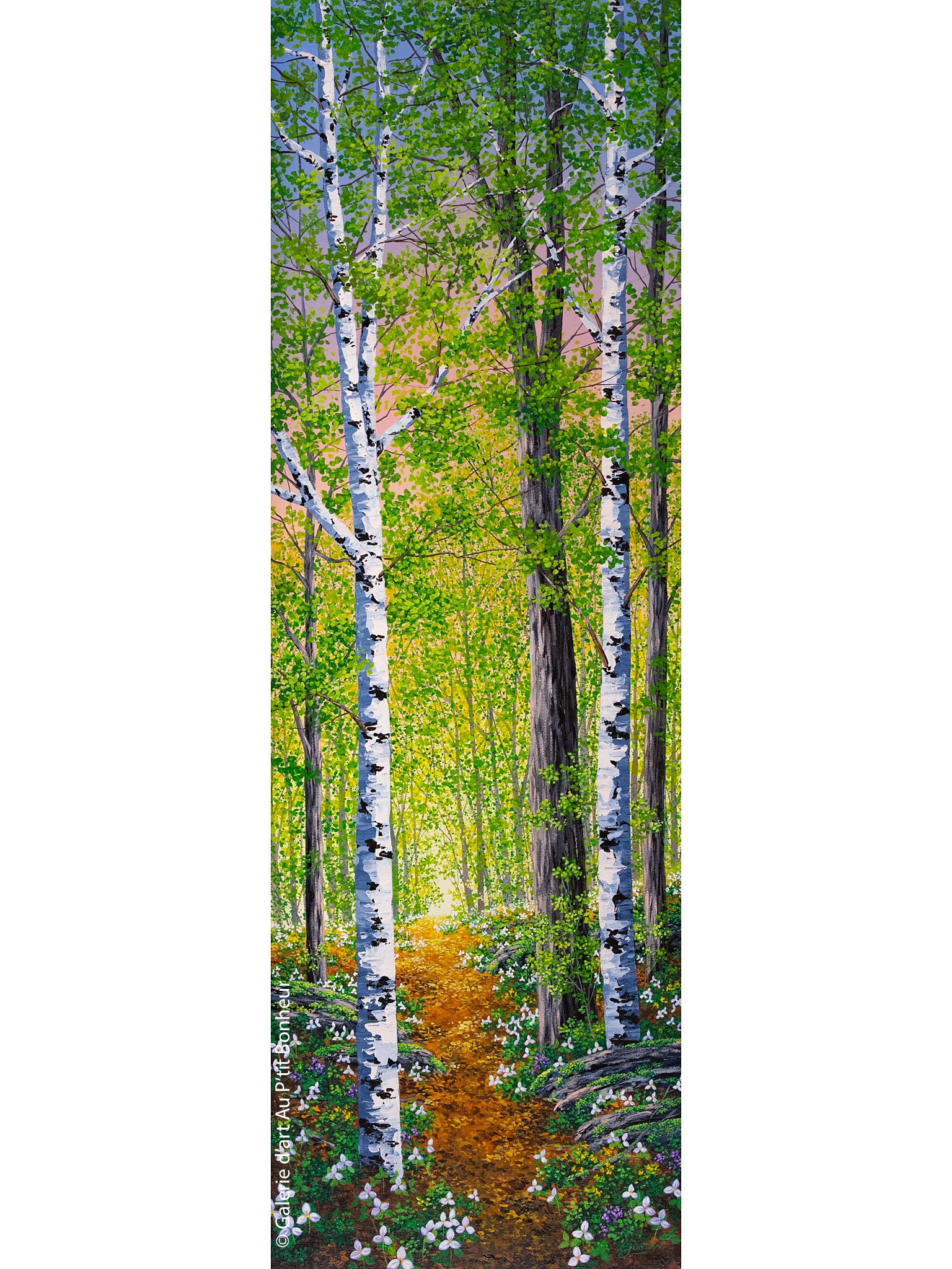 Jordan Hicks | Trilliums & Tranquility