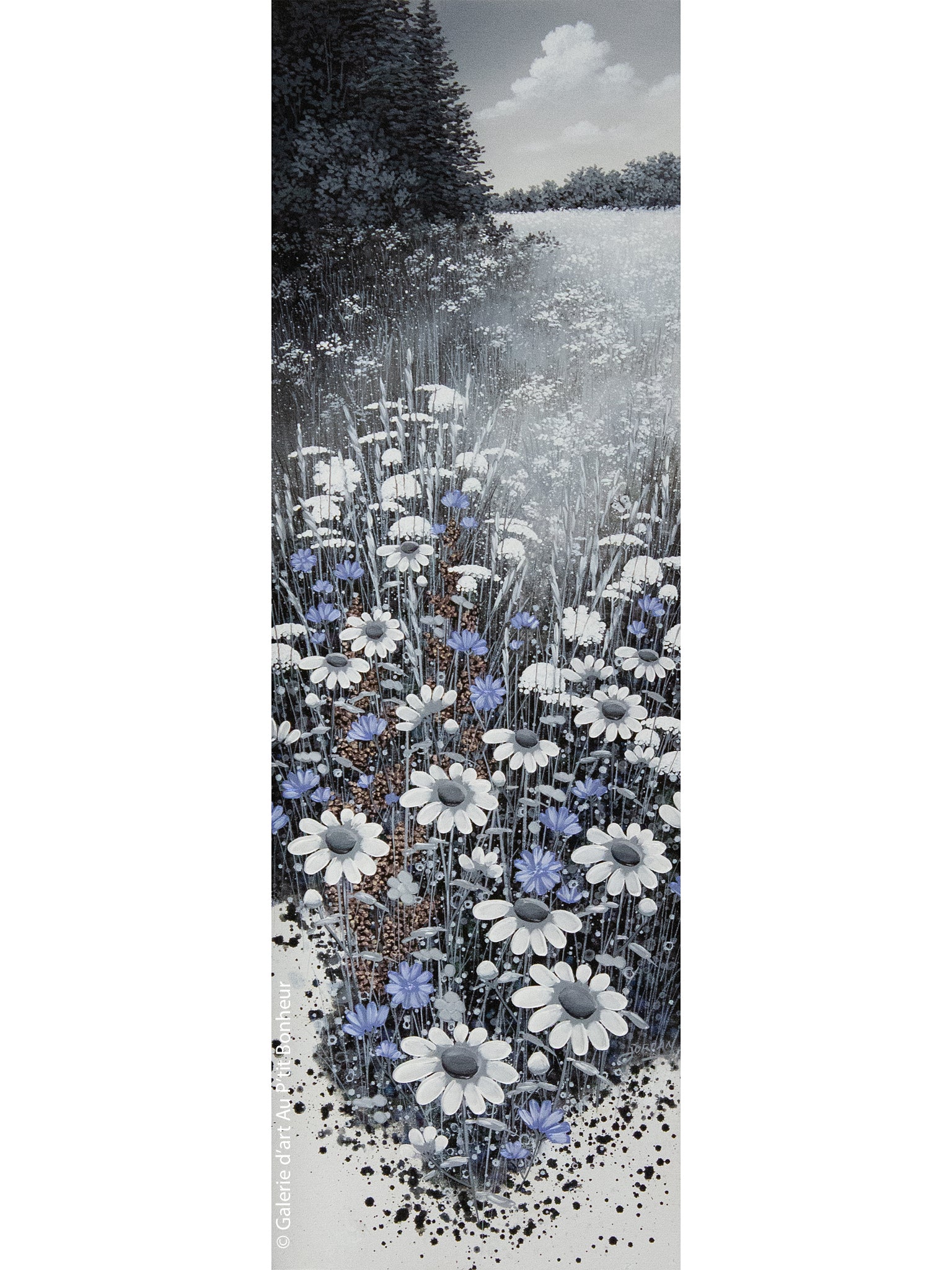 Jordan Hicks | Chicory Shimmer