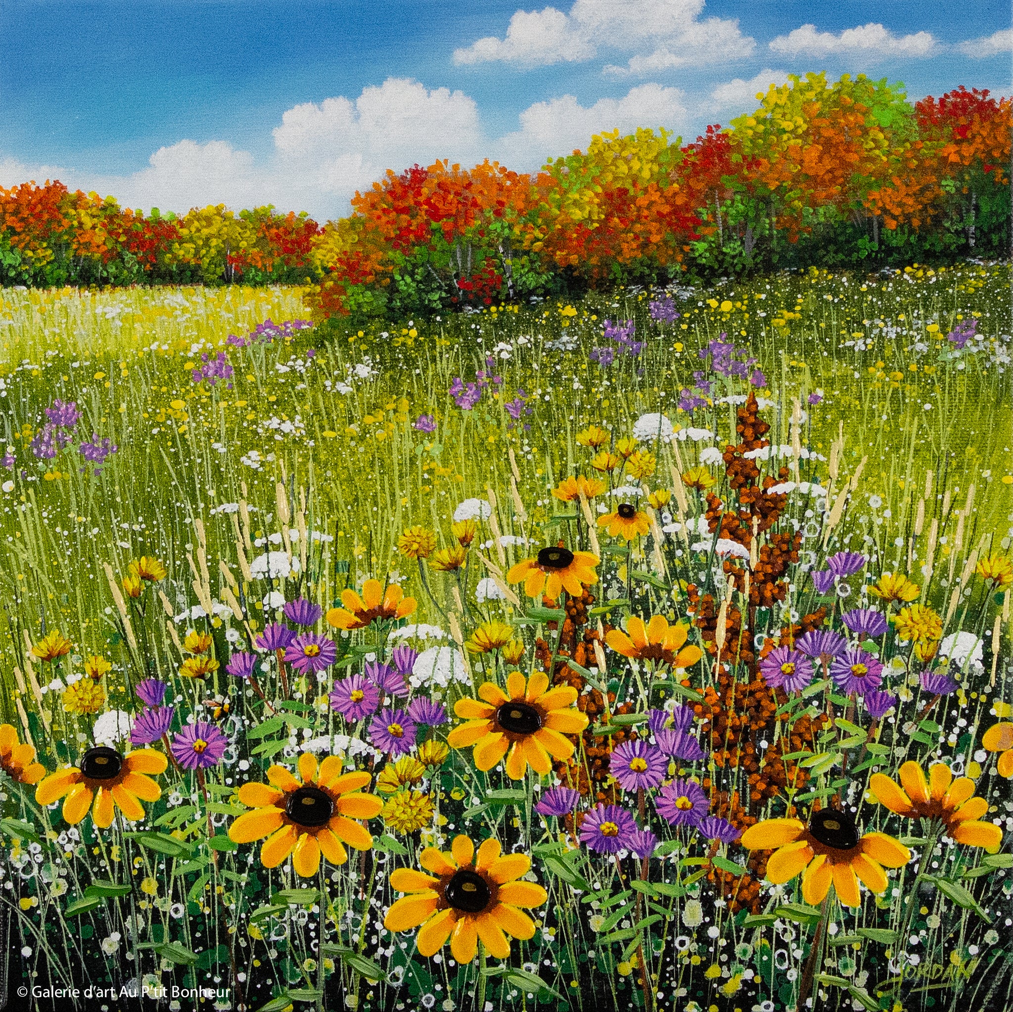 Jordan Hicks | Aster in Autumn