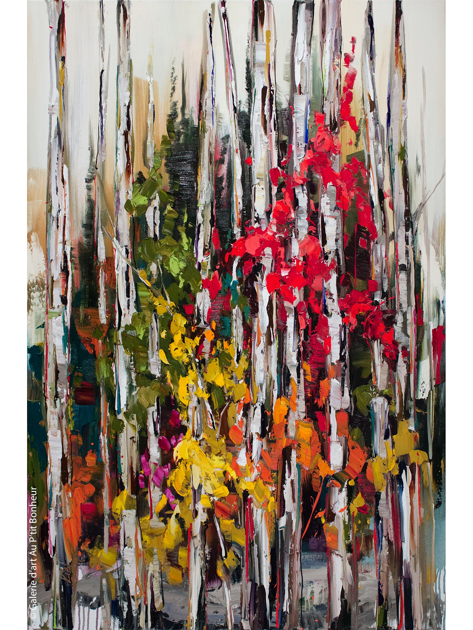 Kimberly Kiel | Making a New Start