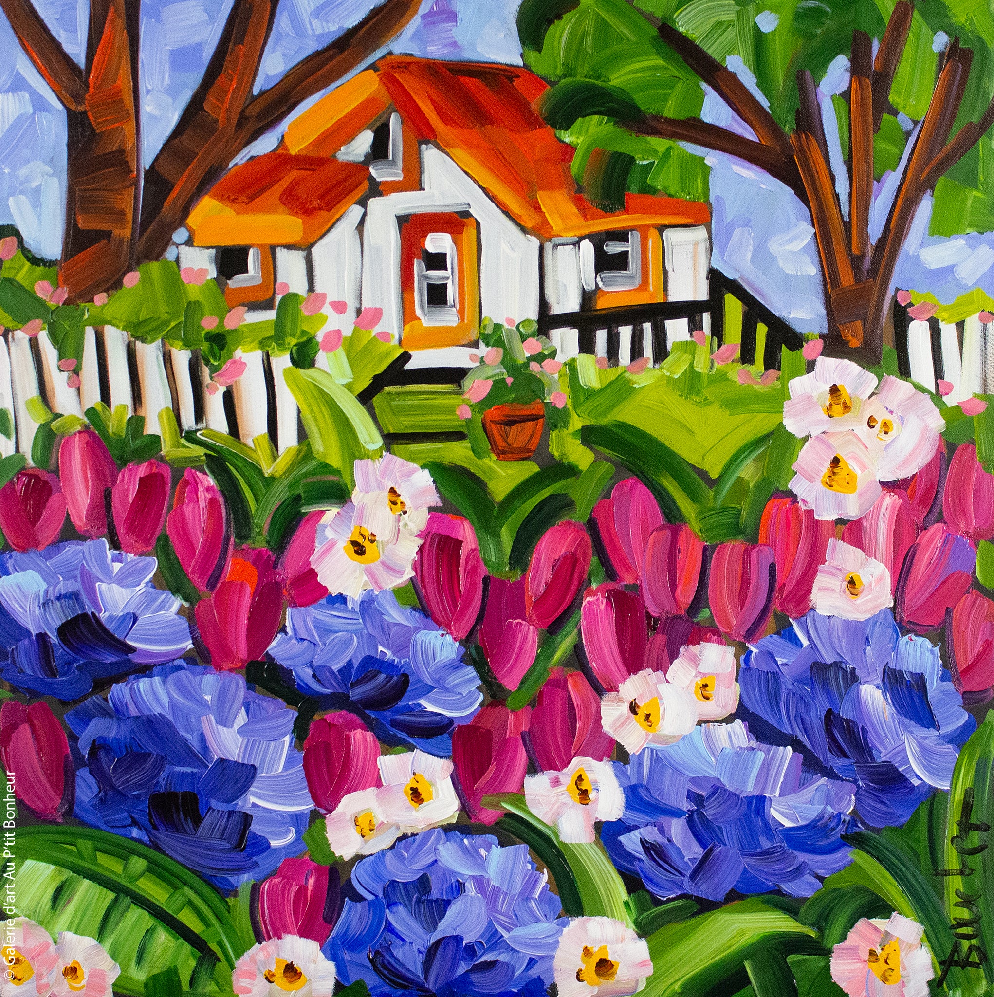 Marie-Claude Boucher | Jardinage de juillet