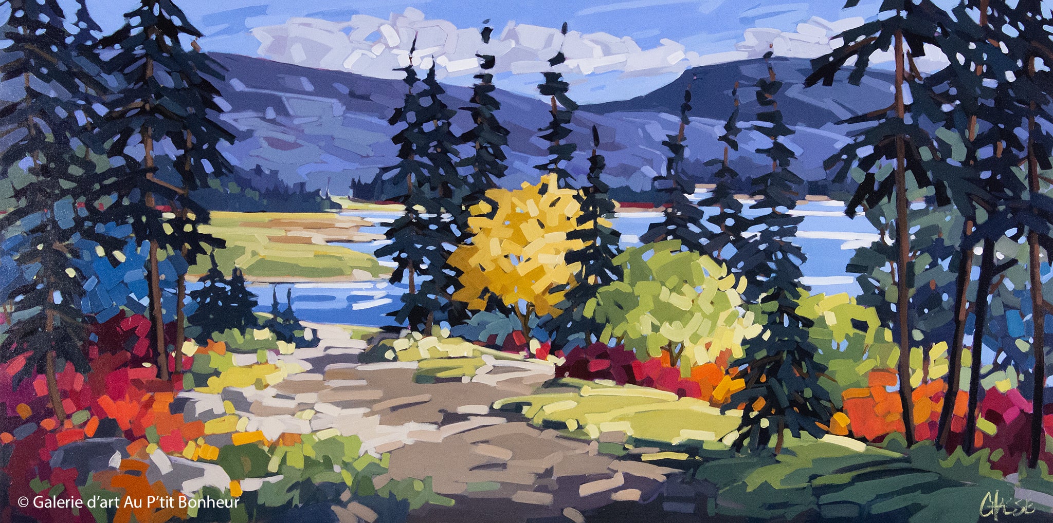 Martine Chassé | La clairière des heures lentes