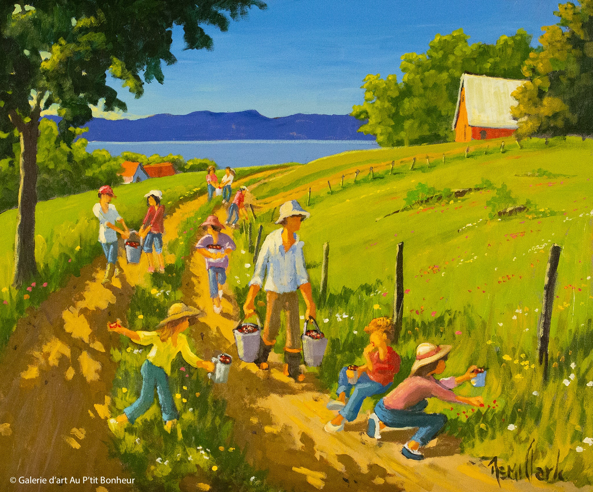 Rémi Clark | Retour de cueillette aux petits fruits