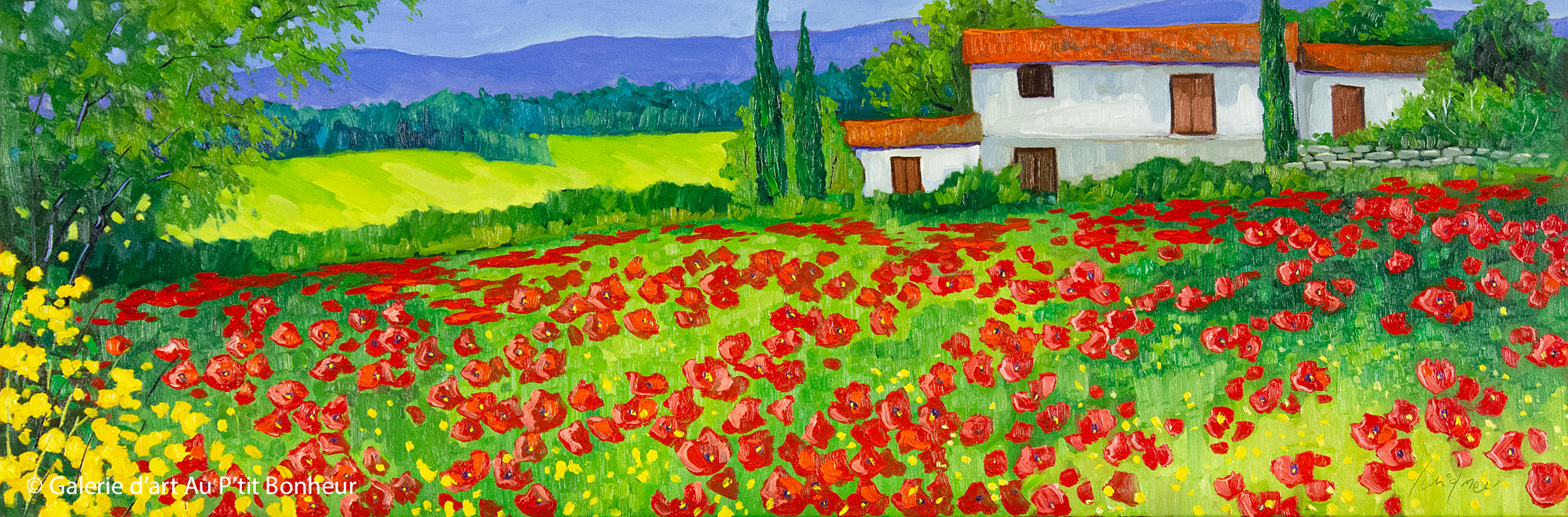 Robert Savignac | Coquelicots