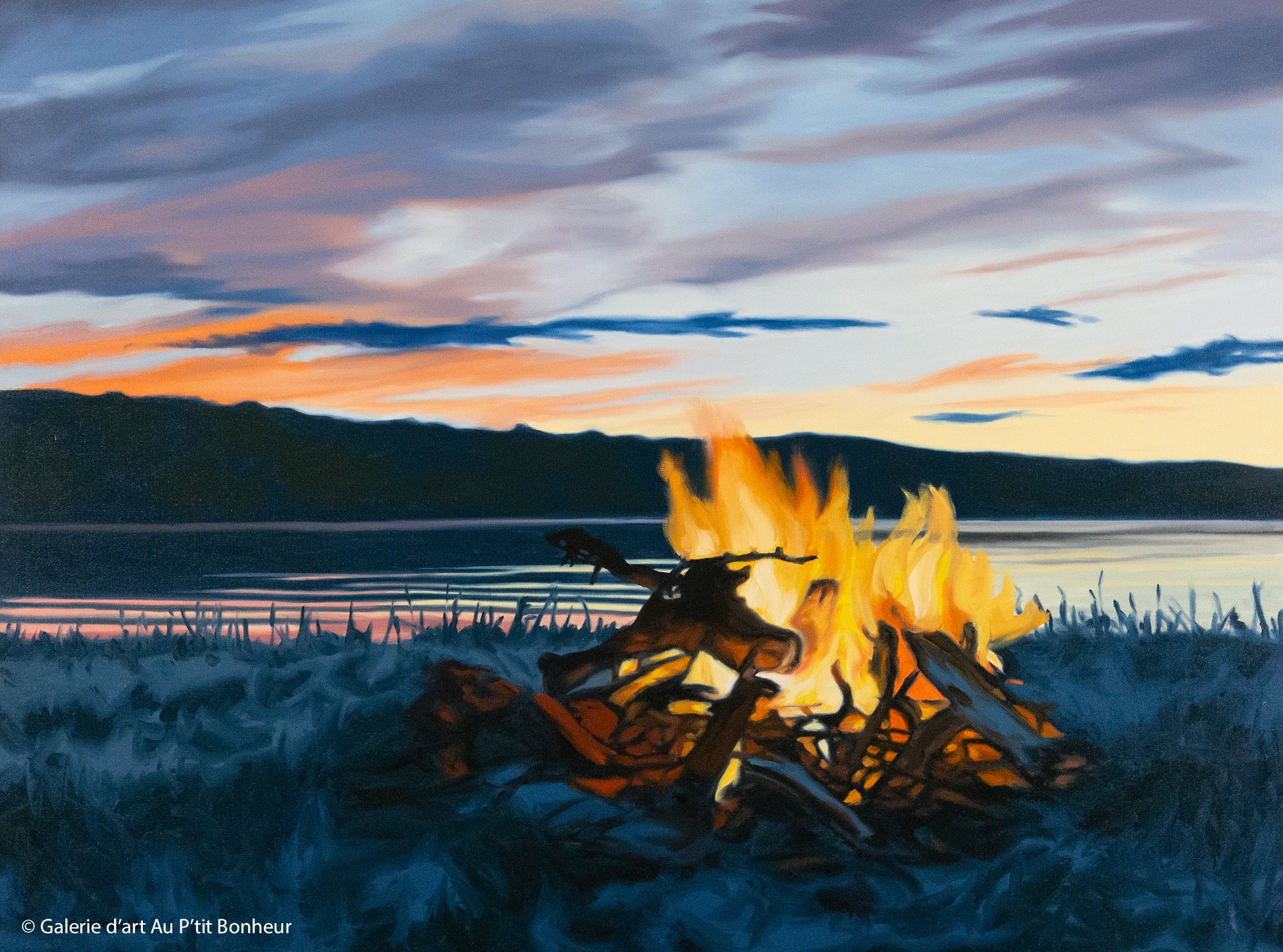 Shelley Mitchell | The Fire is Hot