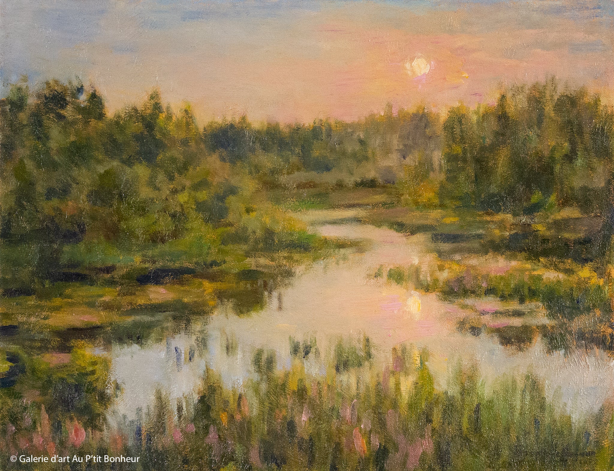 Stéphane Gagnon | Romance au marais