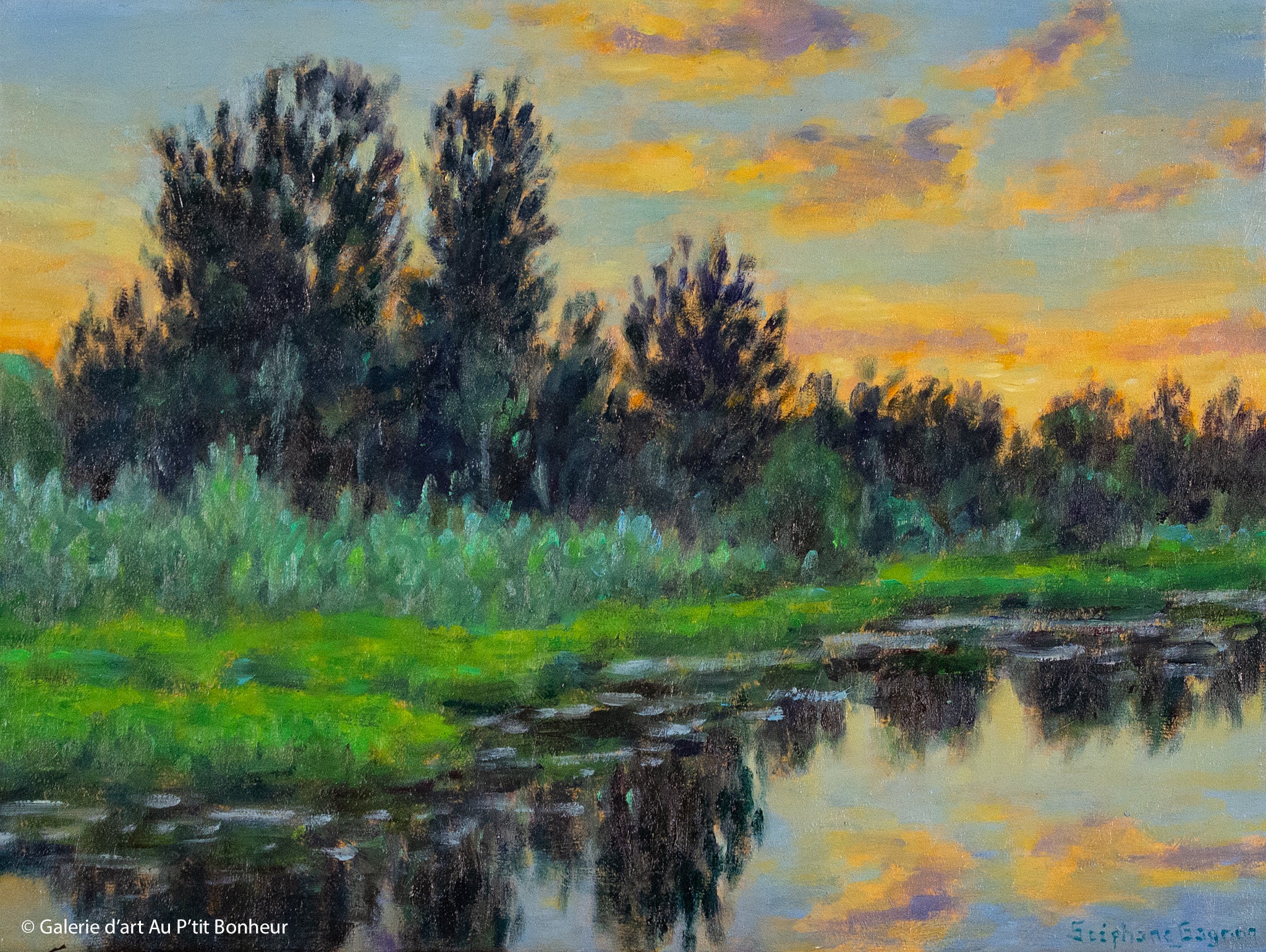 Stéphane Gagnon | Réflexions