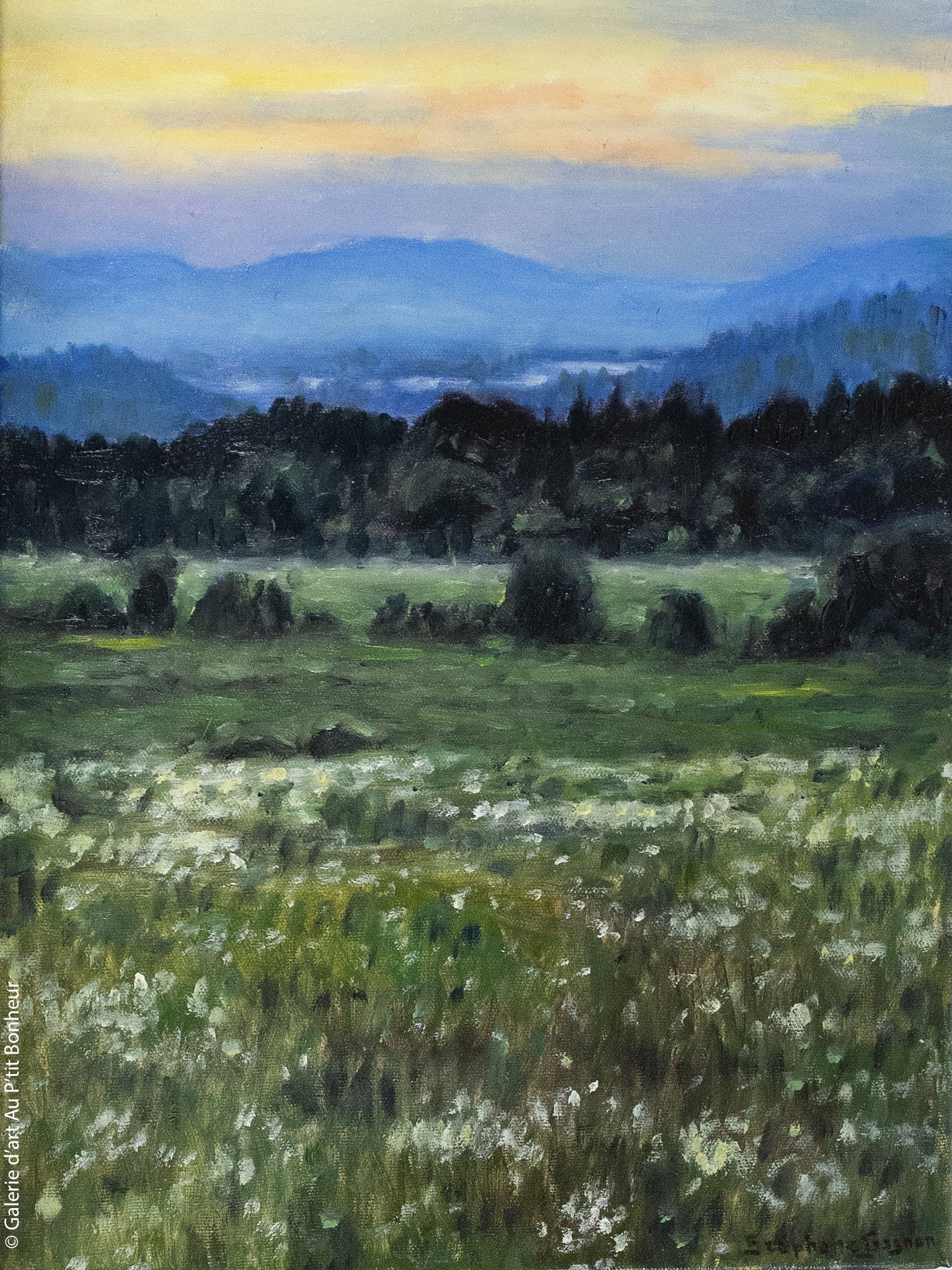 Stéphane Gagnon | Au-delà des montagnes