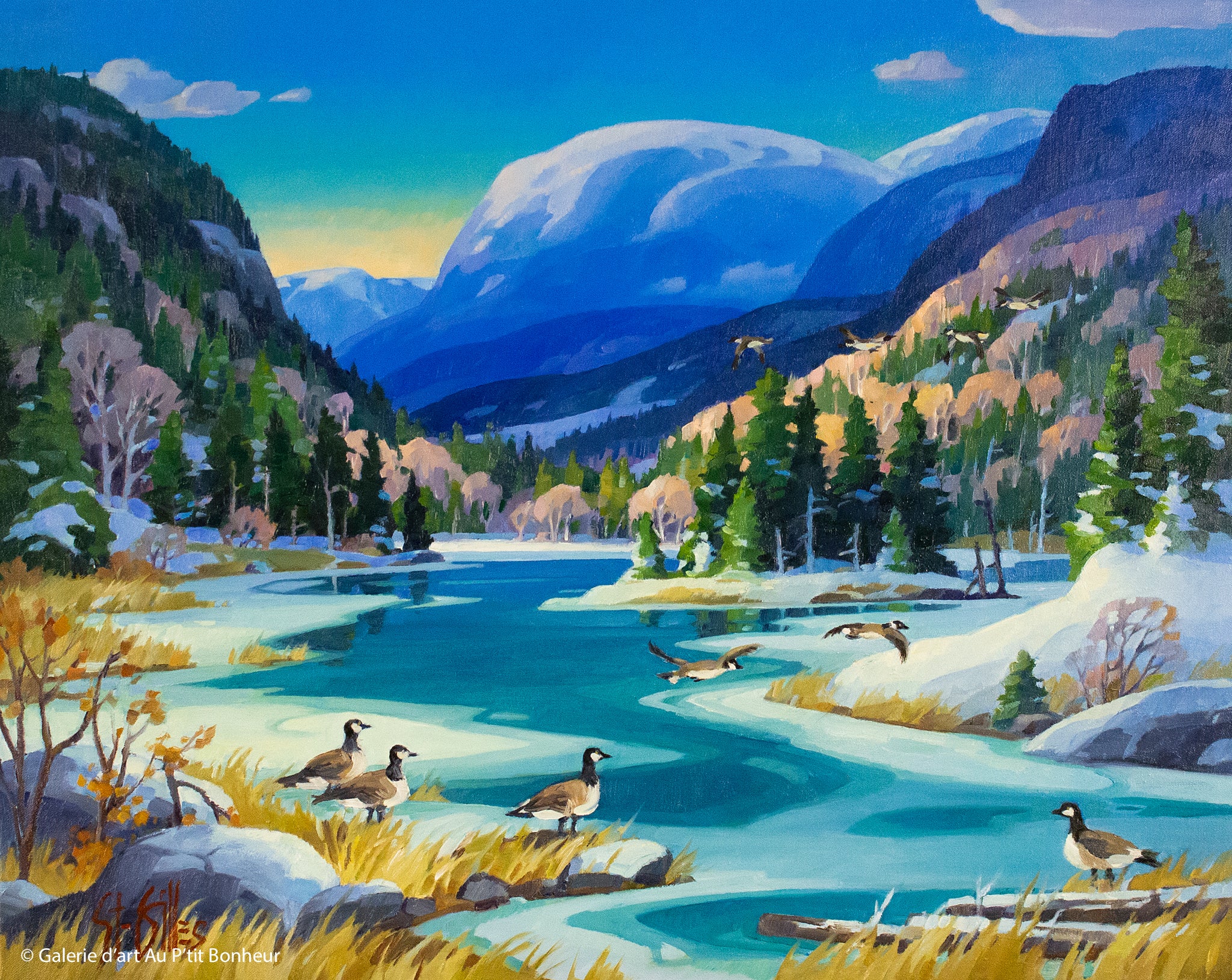 St-Gilles | Les bernaches, annonce du printemps