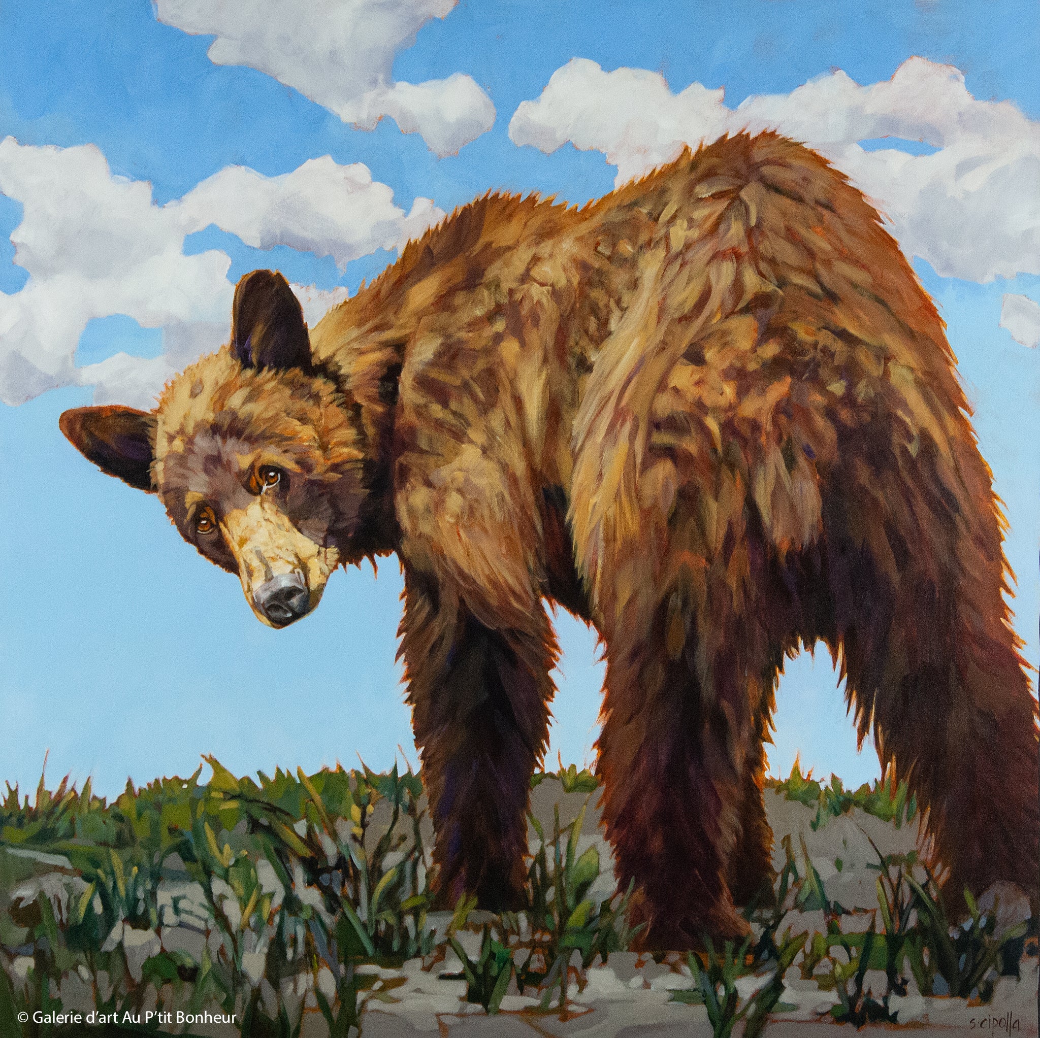 Susie Cipolla | Juss Passing Trough