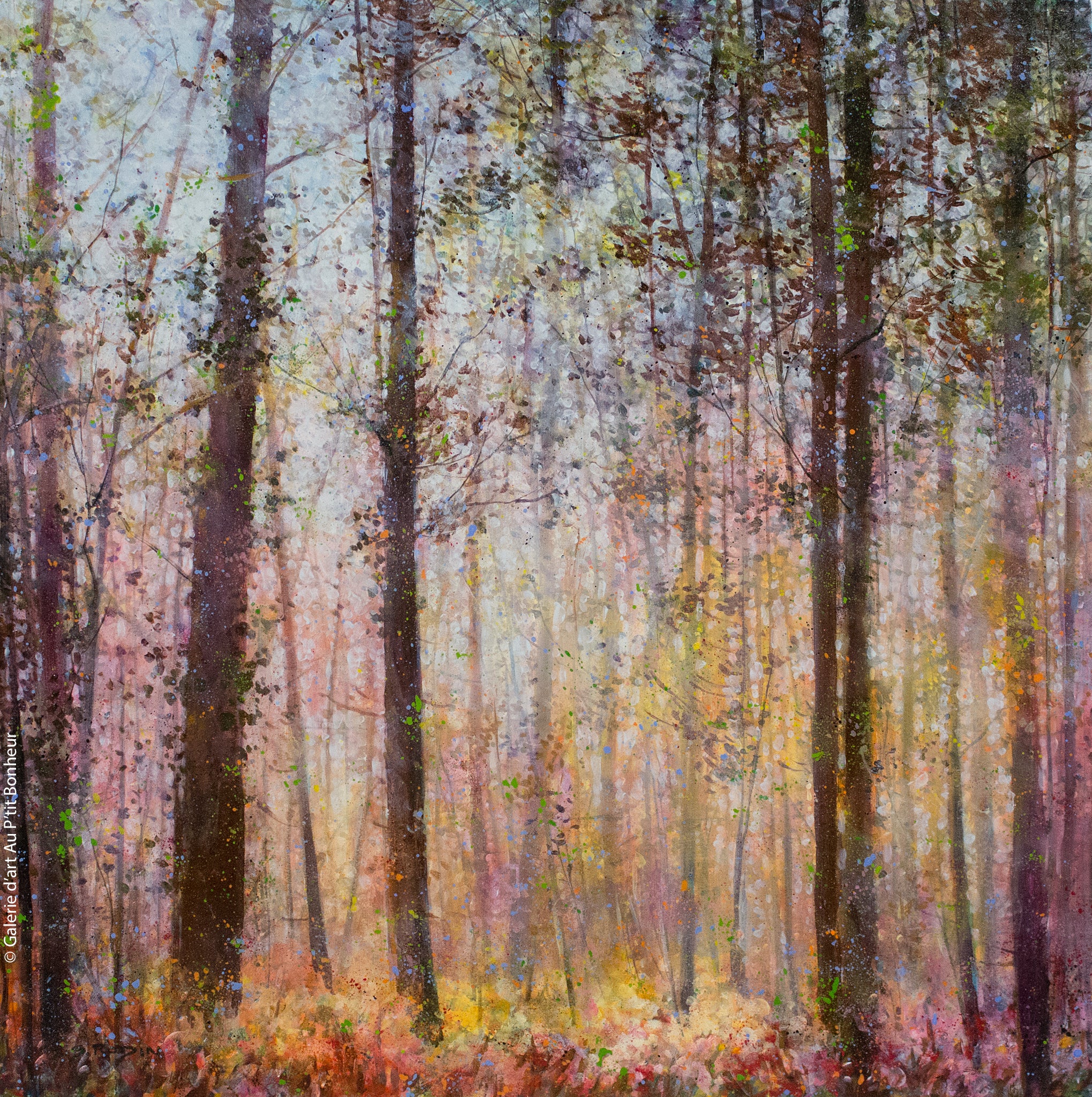 Bev Rodin | Daybreak Woodland Garden