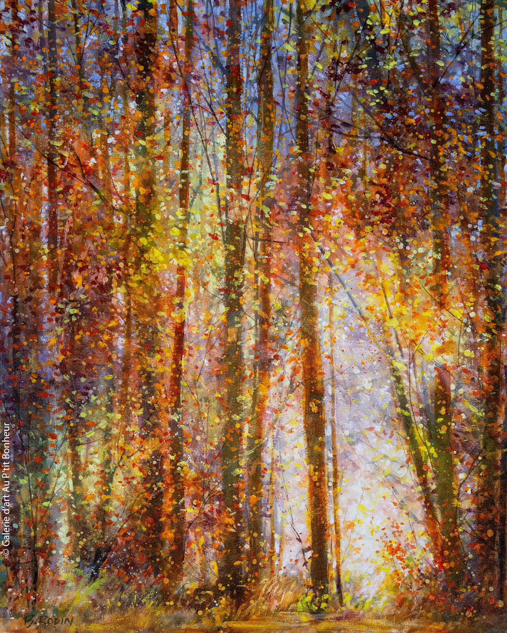 Bev Rodin | Low Light