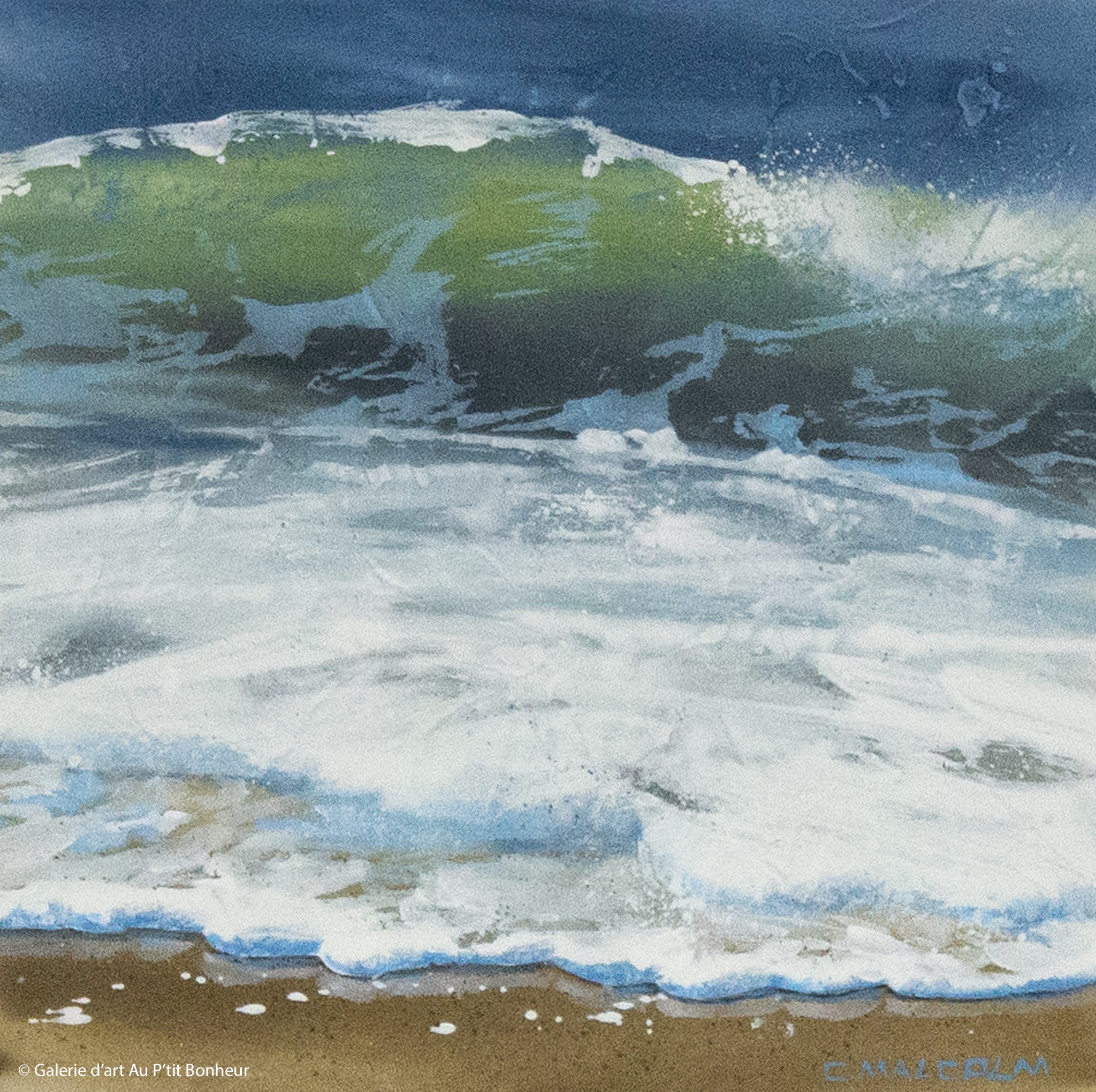 Carole Malcolm | Shoreline Study 03423