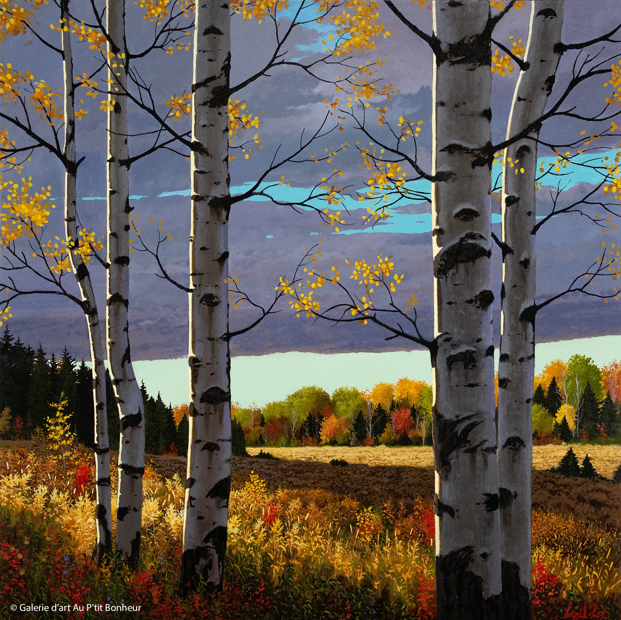 Cyril Cox | Autumn Fields