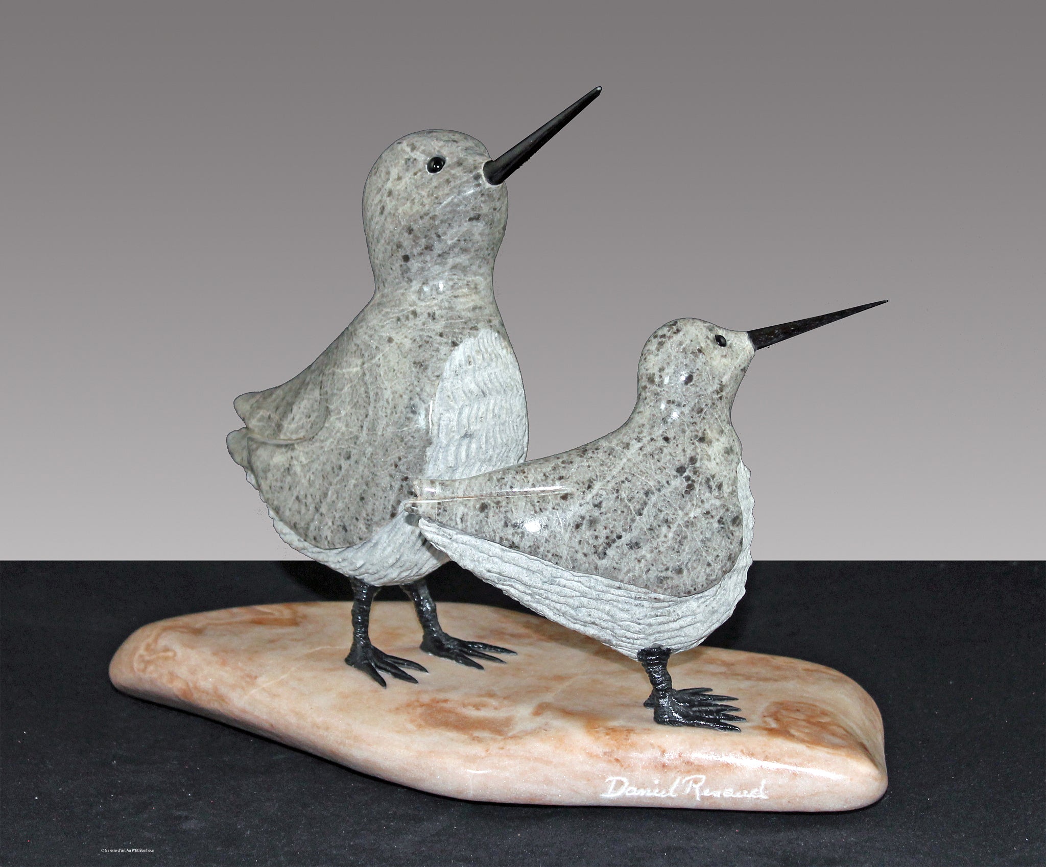 Daniel Renaud | #2117 Dose de bonheur