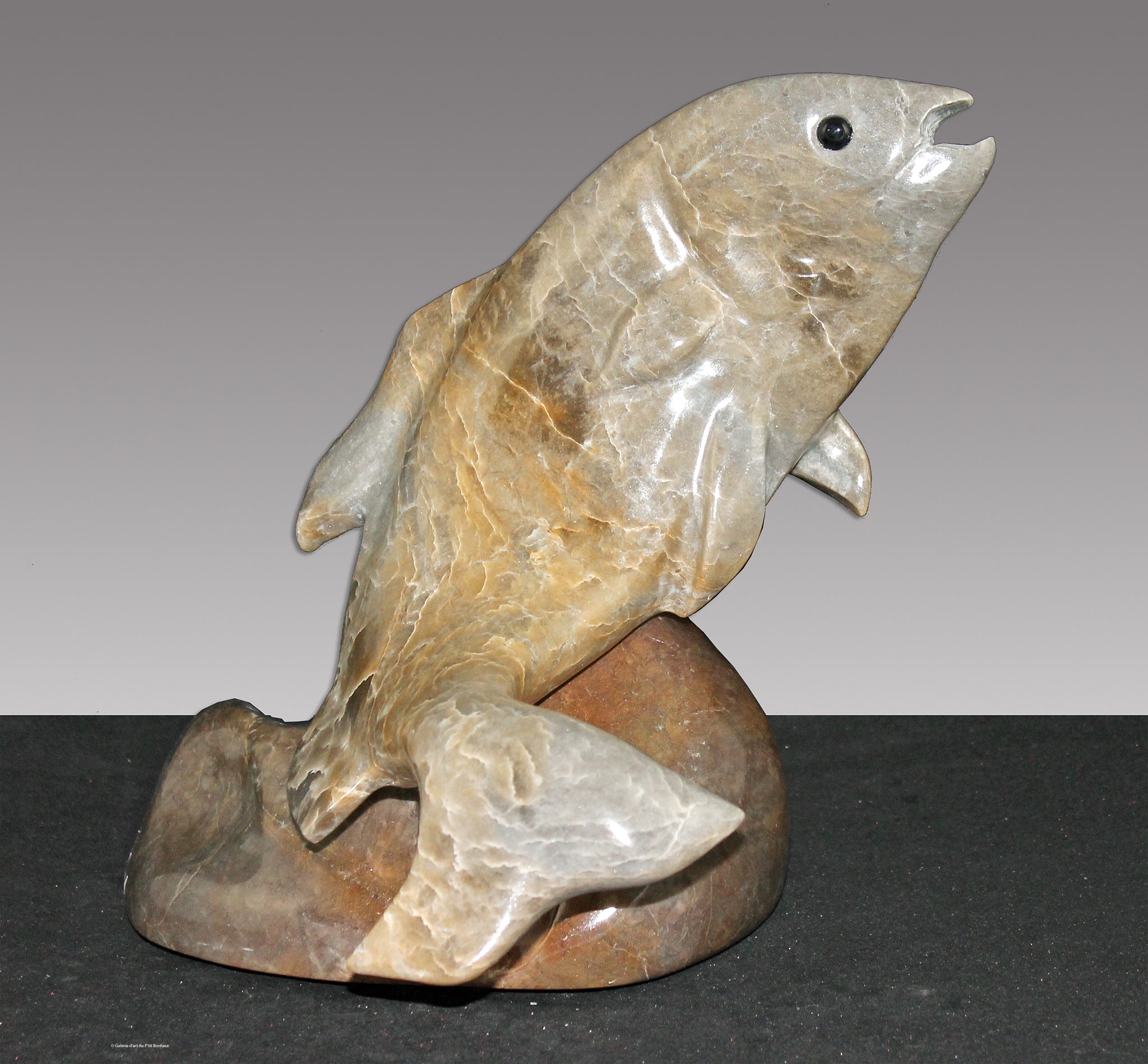 Daniel Renaud | #2131 Frétillant