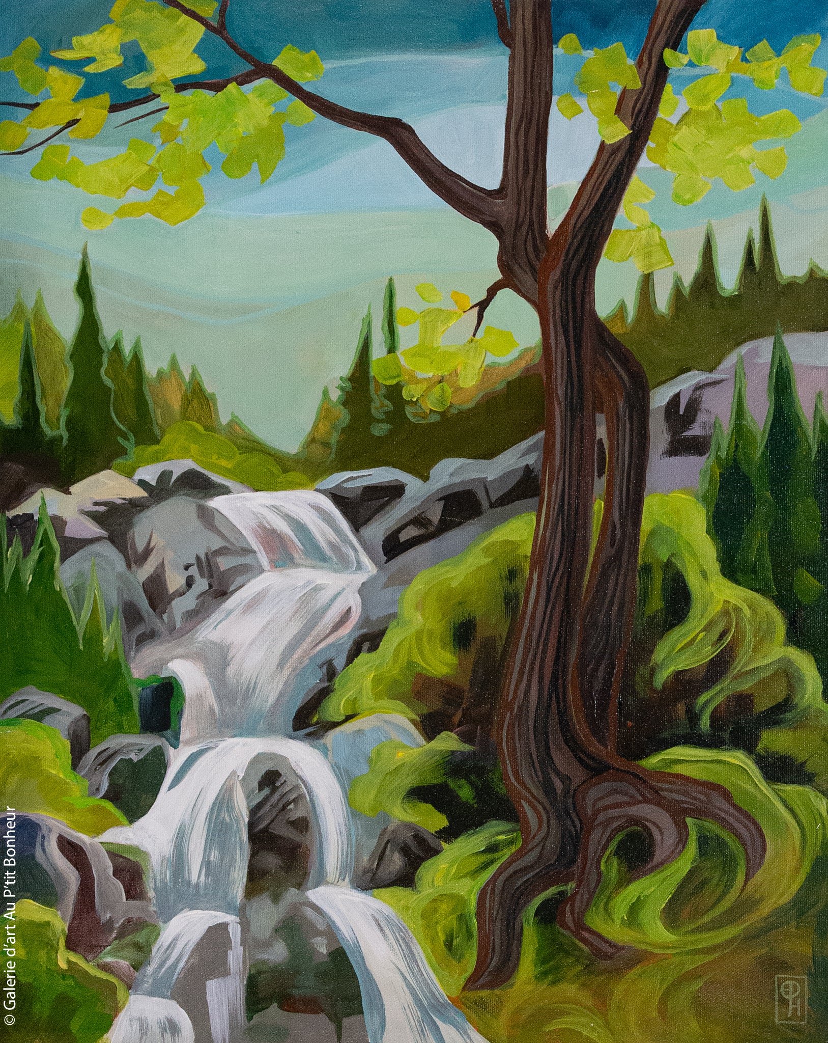 Erica Hawkes | Evergreen