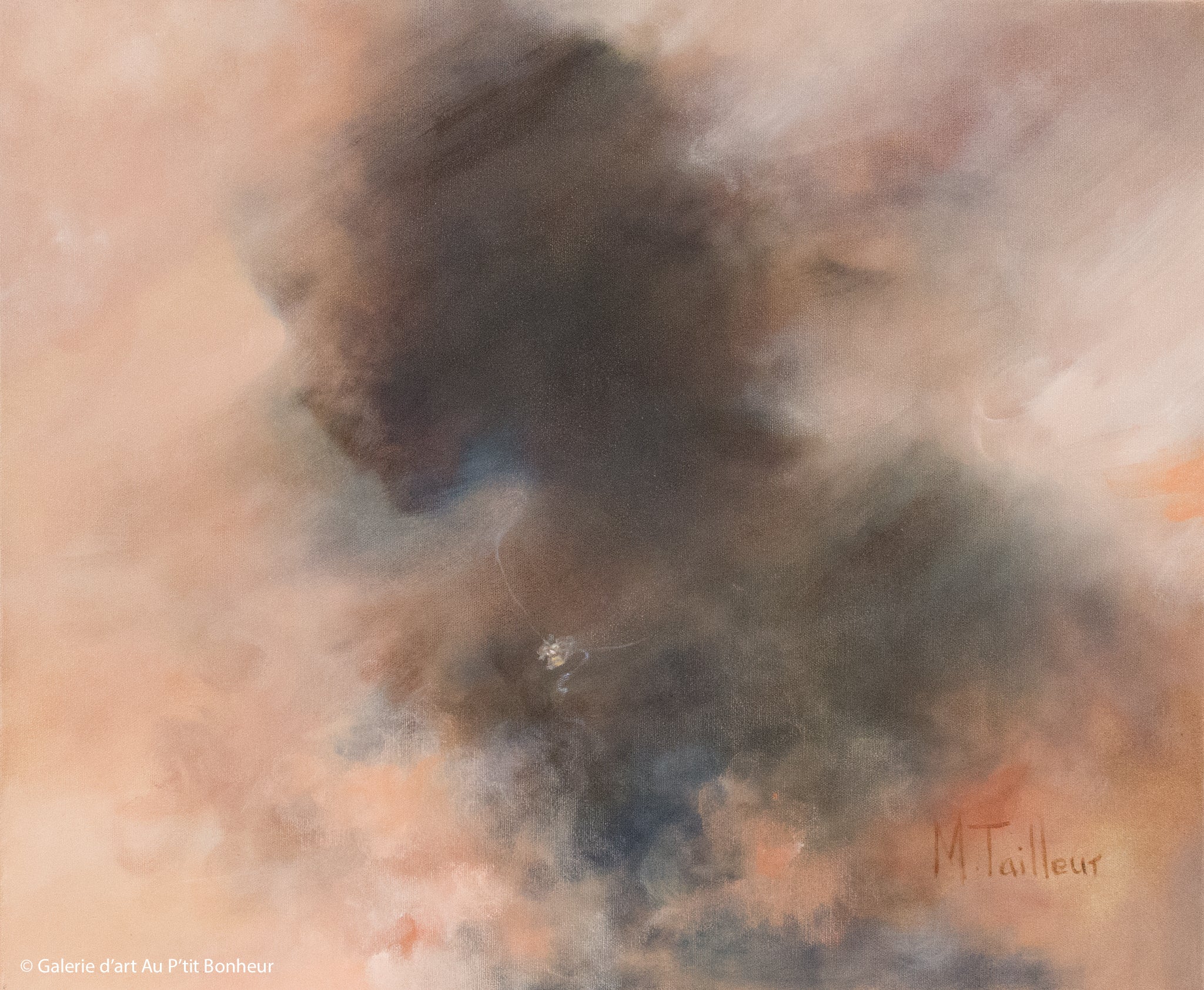 Madeleine Tailleur | Transparence