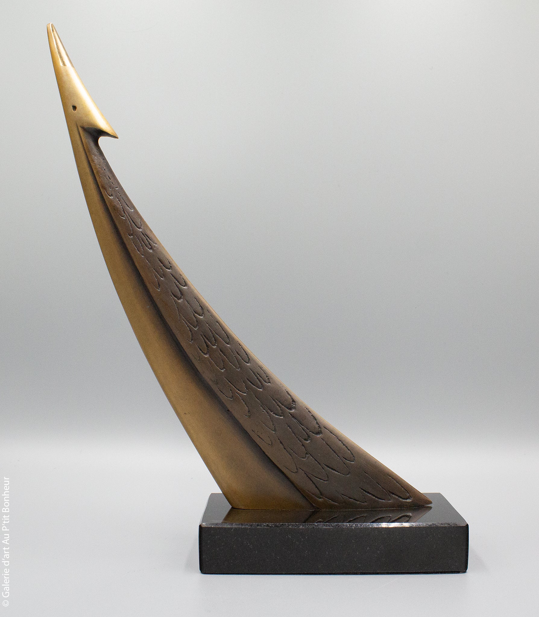 Marc Martel | #7 Le pointu
E/A