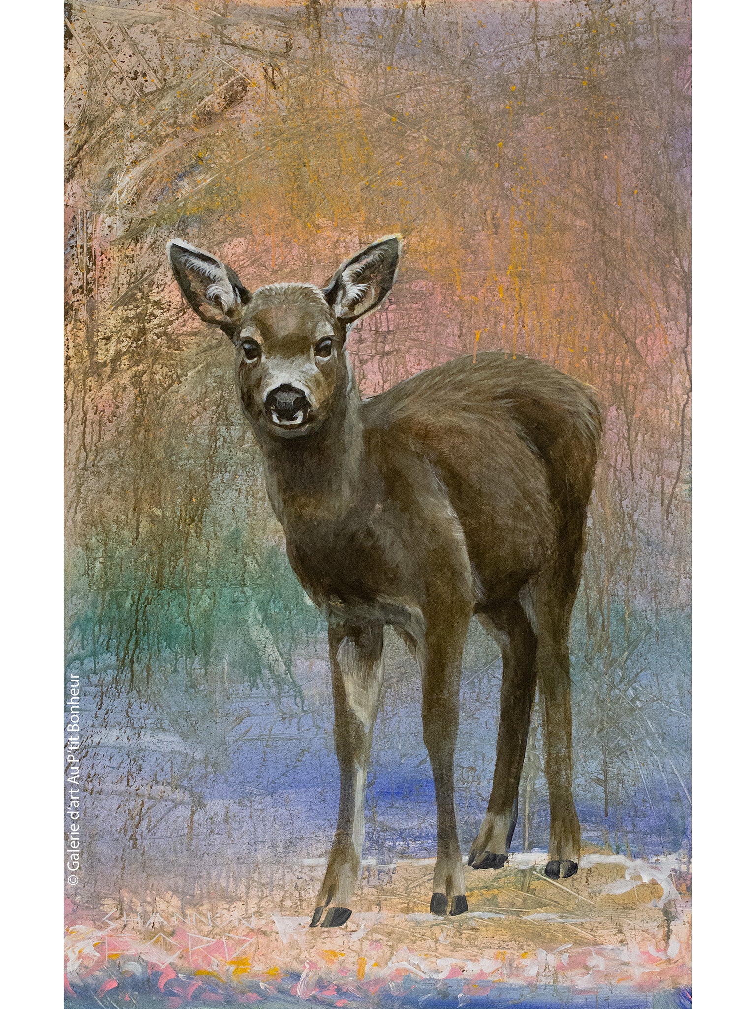 Shannon Ford | Dottie