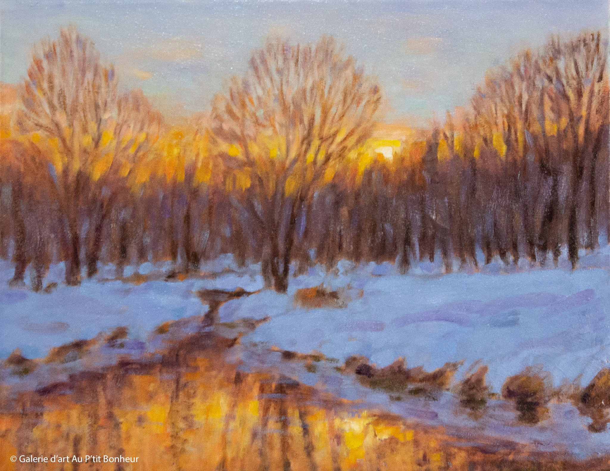 Stéphane Gagnon | D’or et de neige