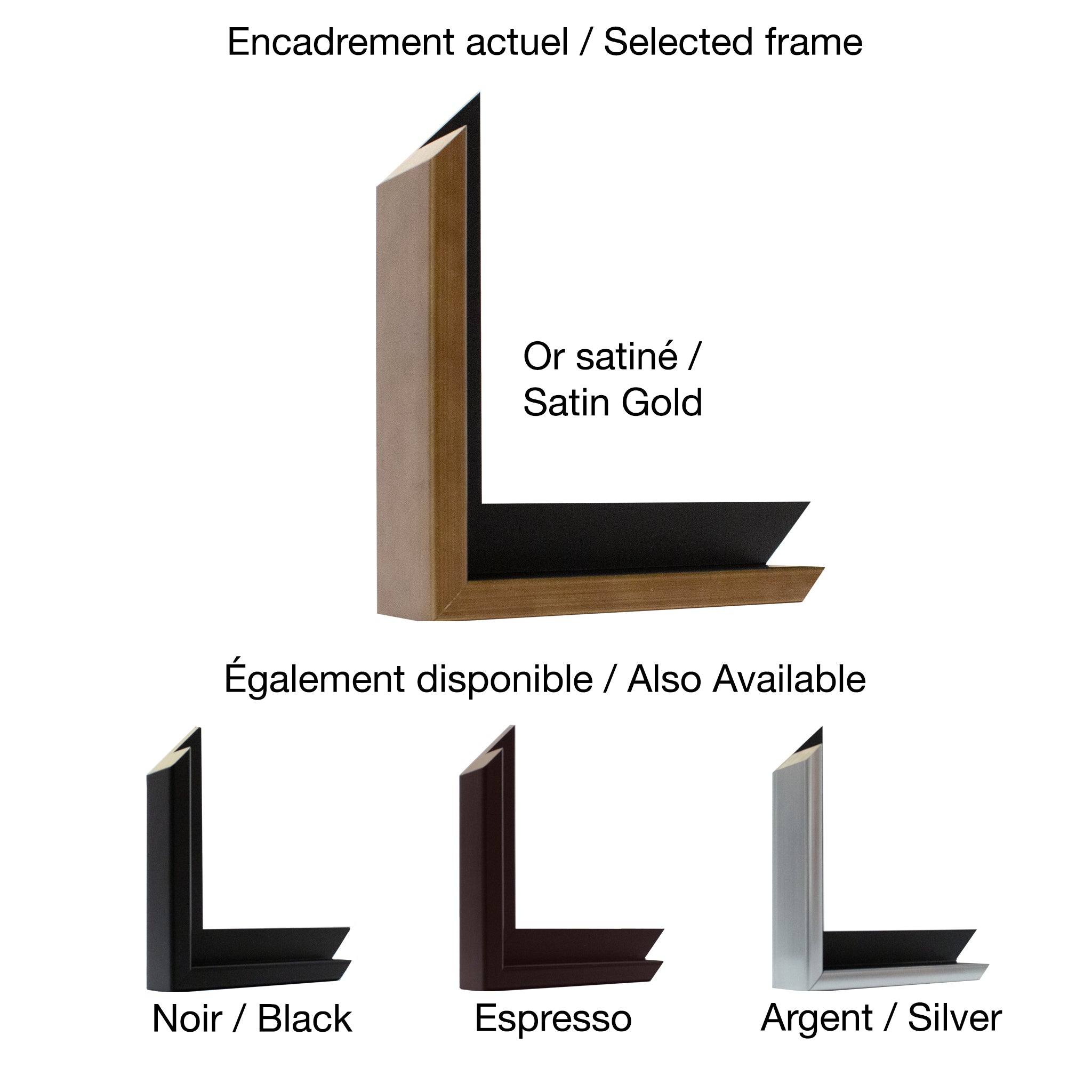 Carole Malcolm | Treescape 10825